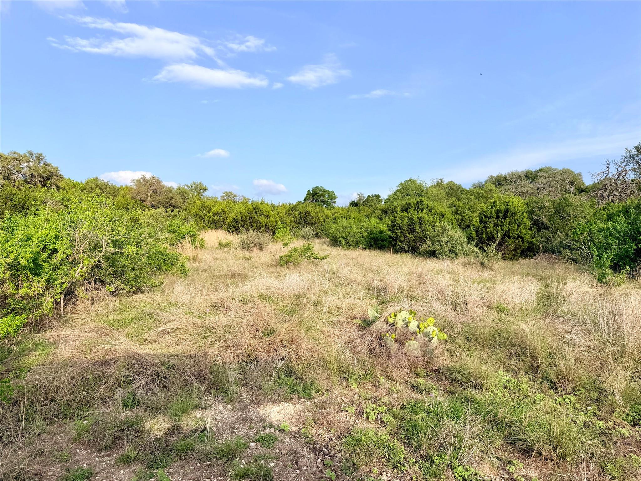 Lot 13 Spies Ridge Dr N, Fredericksburg, TX 78624