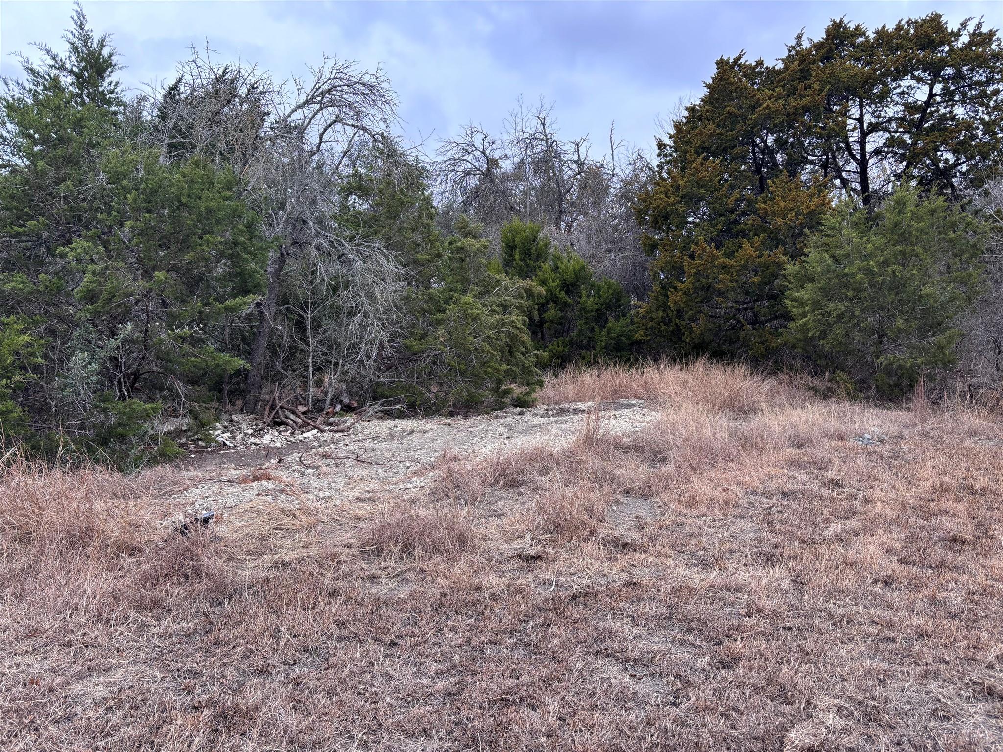 2150 County Road 153, Georgetown, TX 78626