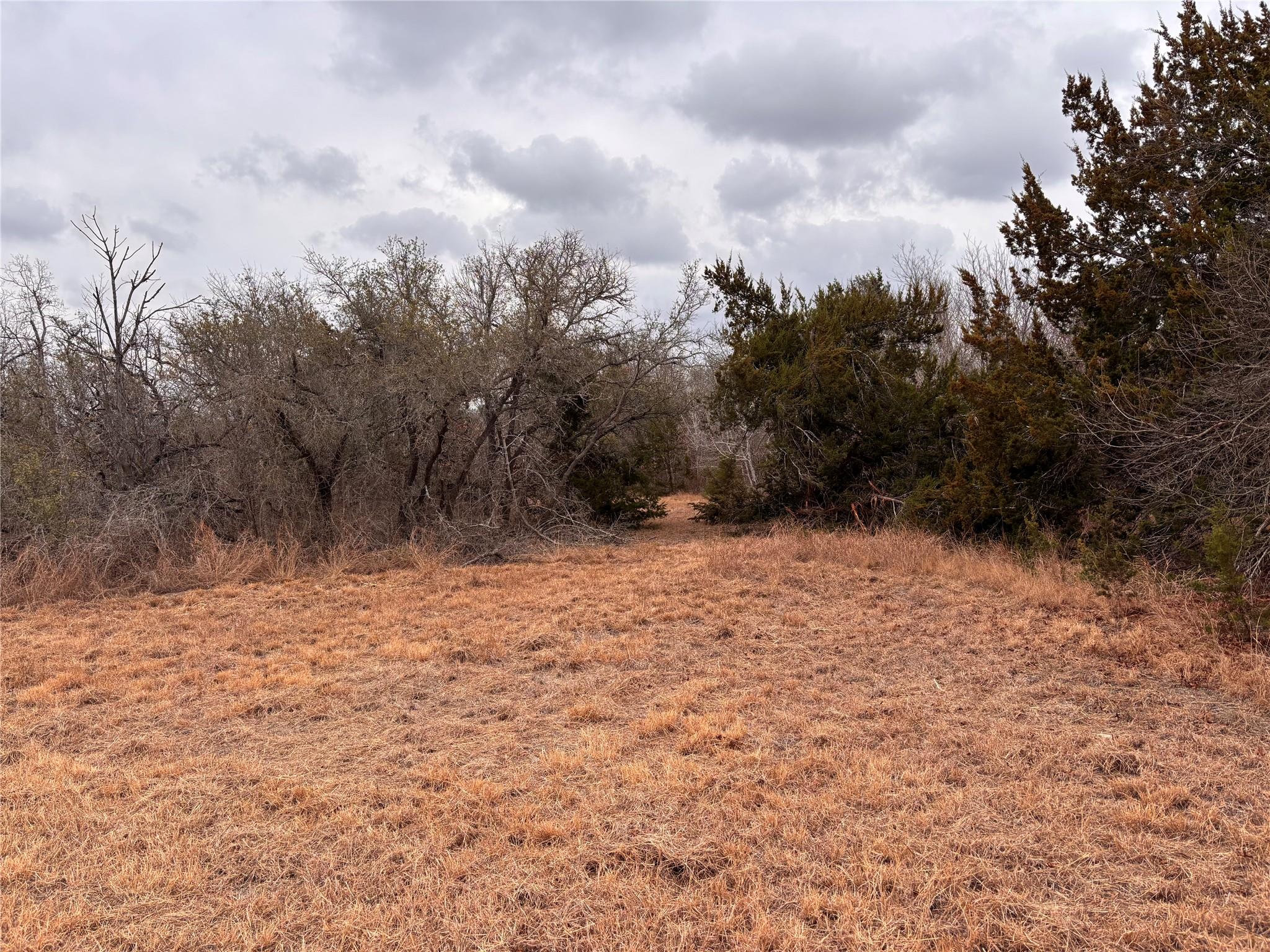 2150 County Road 153, Georgetown, TX 78626