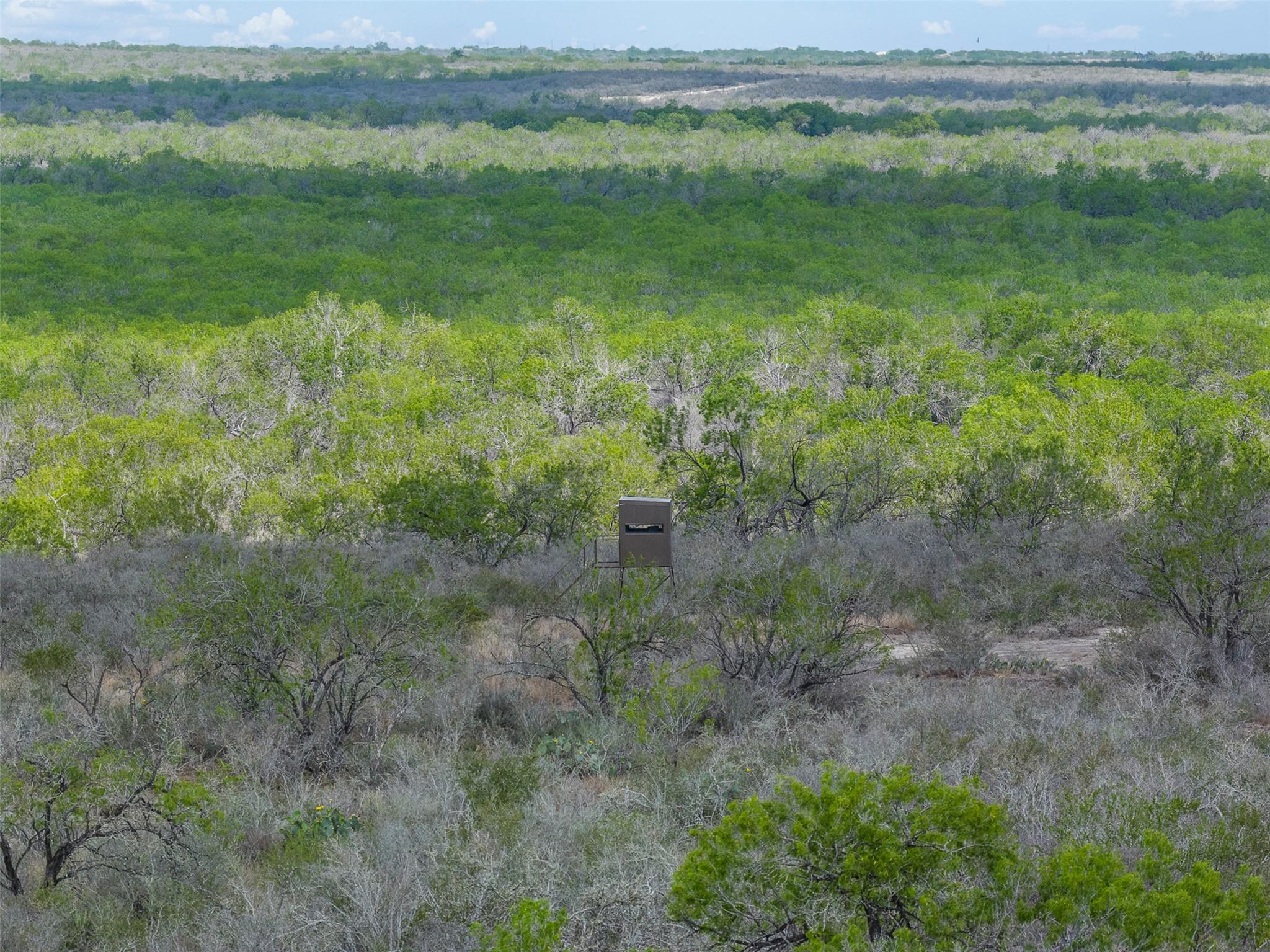 235 Fm 99, Whitsett, Three Rivers, TX 78075