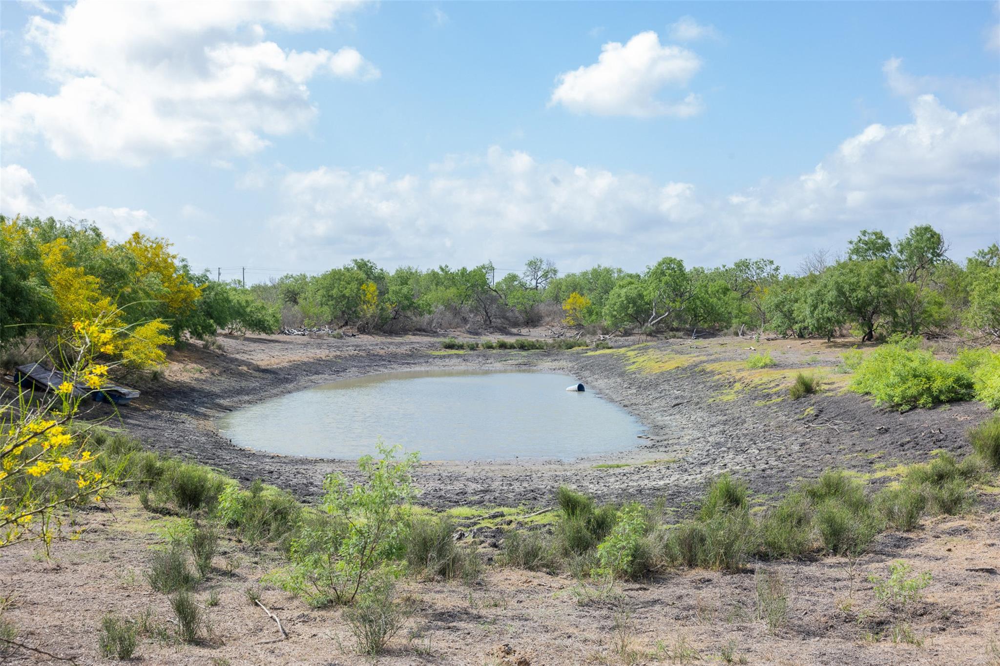 235 Fm 99, Whitsett, Three Rivers, TX 78075