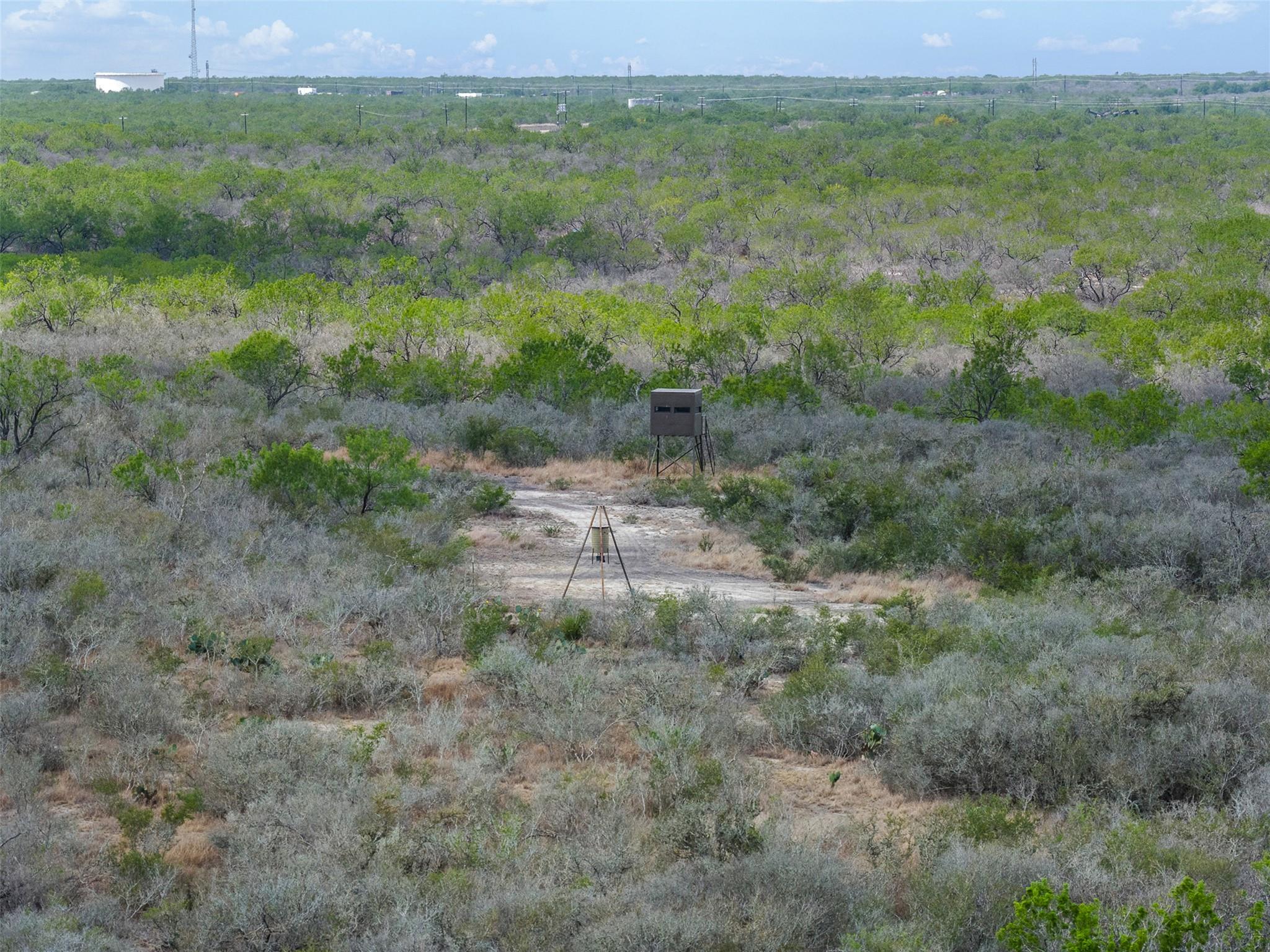 235 Fm 99, Whitsett, Three Rivers, TX 78075