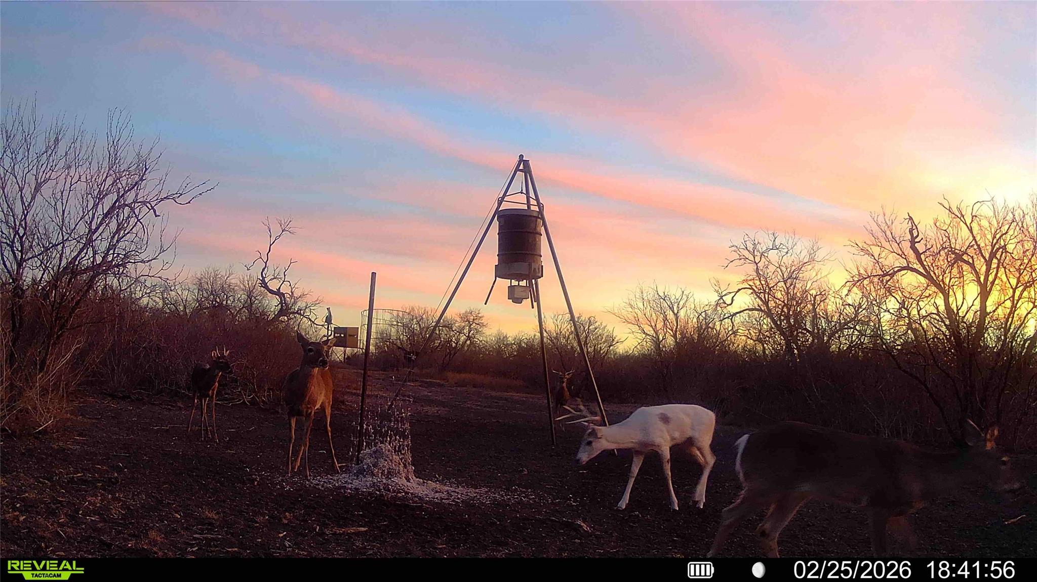 235 Fm 99, Whitsett, Three Rivers, TX 78075