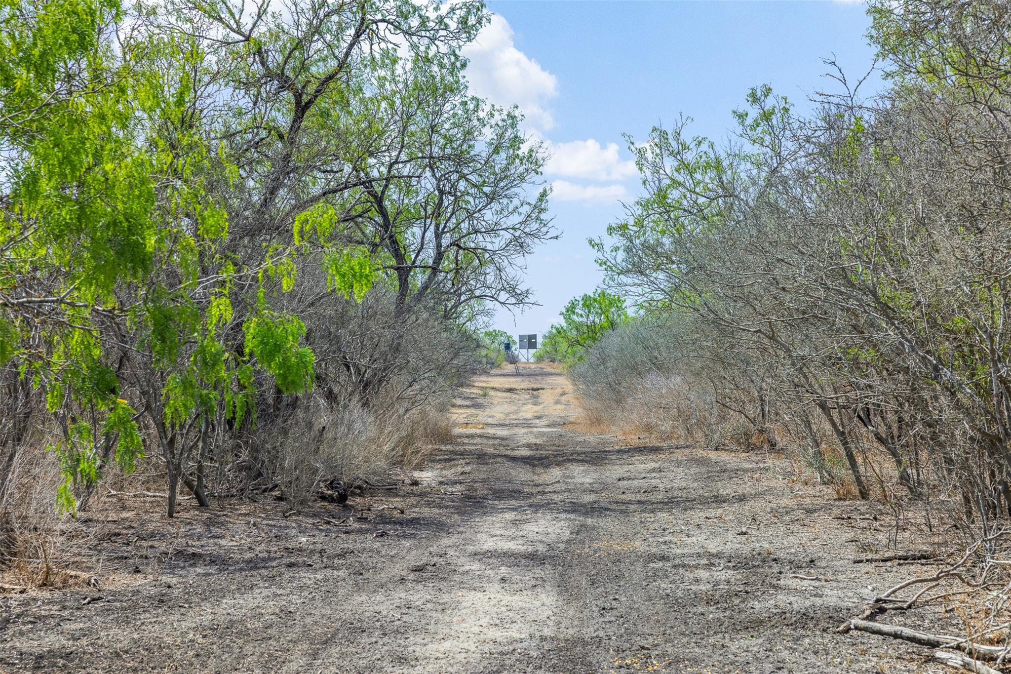 235 Fm 99, Whitsett, Three Rivers, TX 78075