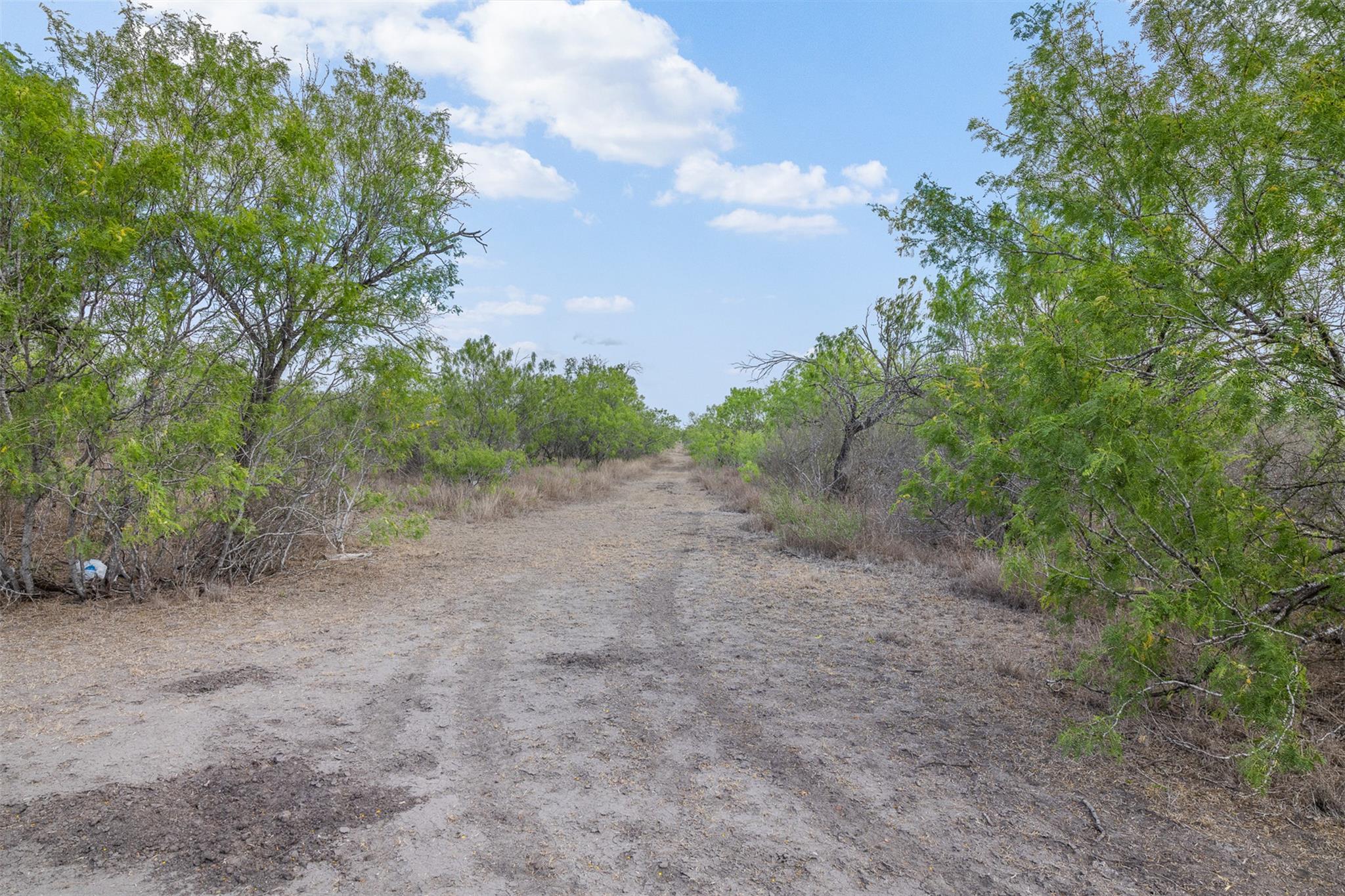 235 Fm 99, Whitsett, Three Rivers, TX 78075