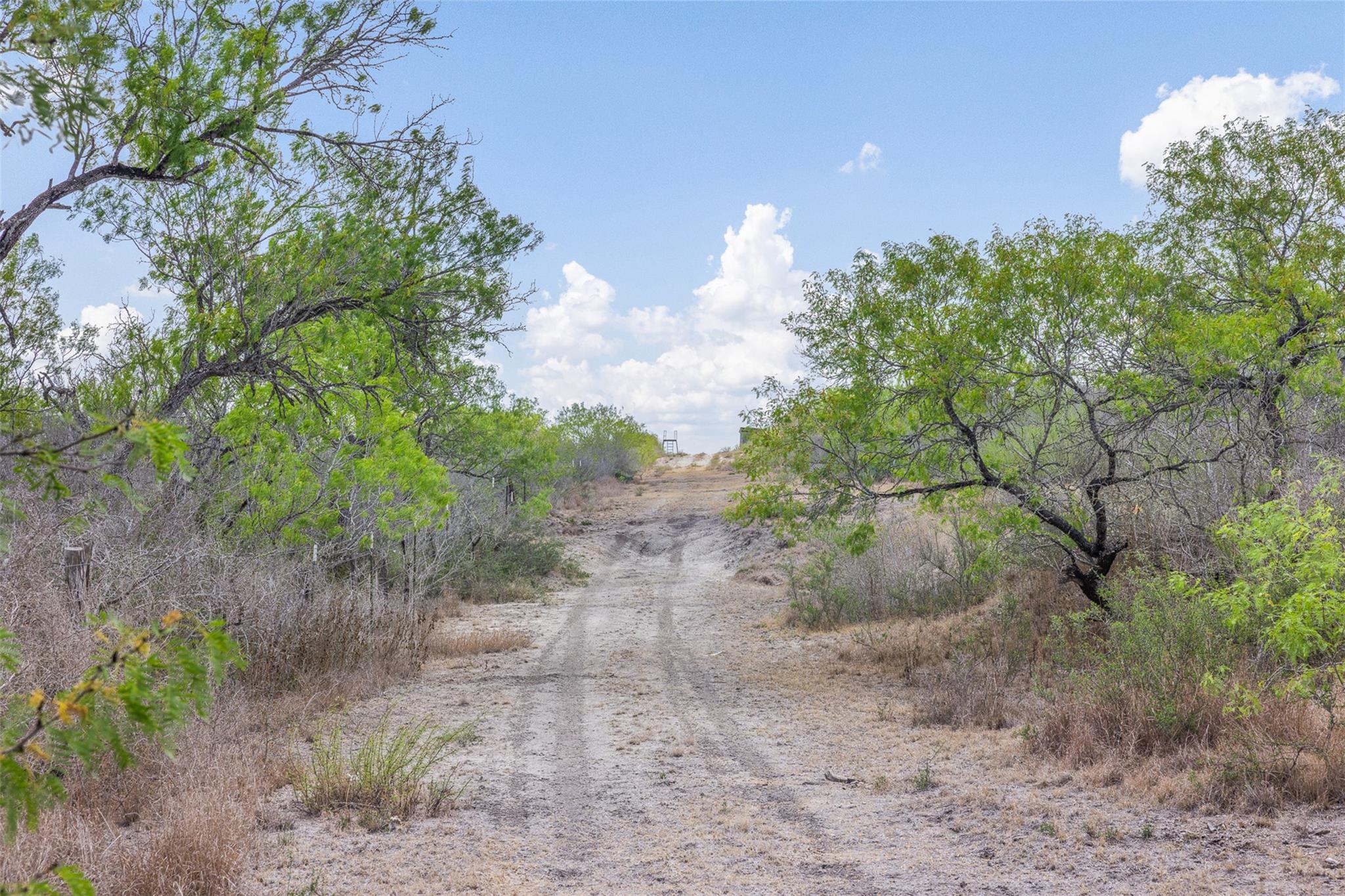 235 Fm 99, Whitsett, Three Rivers, TX 78075