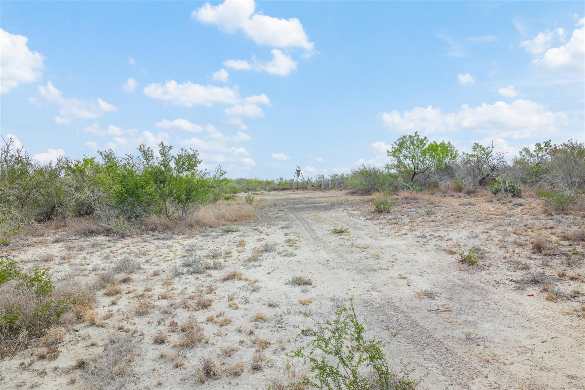 235 Fm 99, Whitsett, Three Rivers, TX 78075