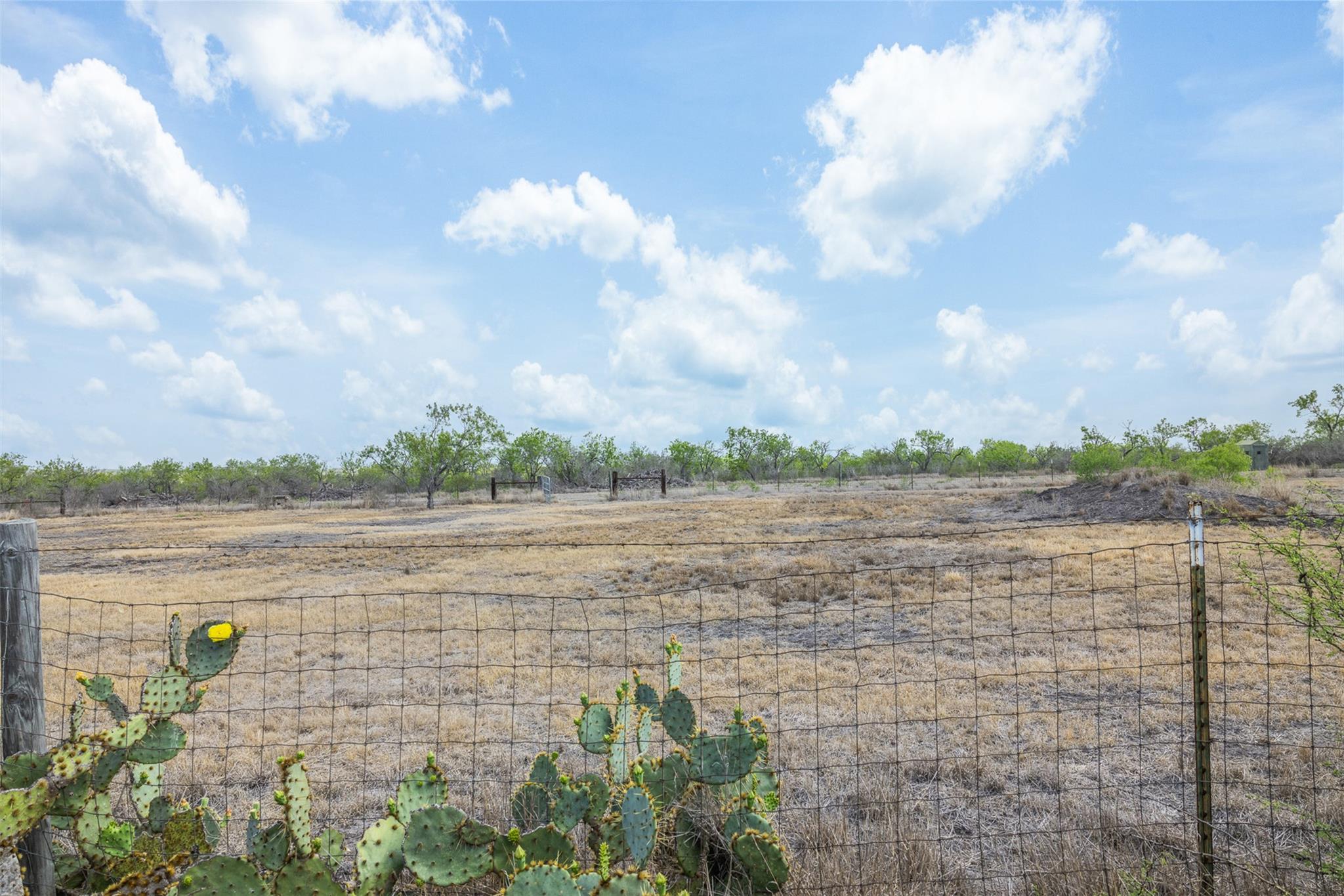 235 Fm 99, Whitsett, Three Rivers, TX 78075