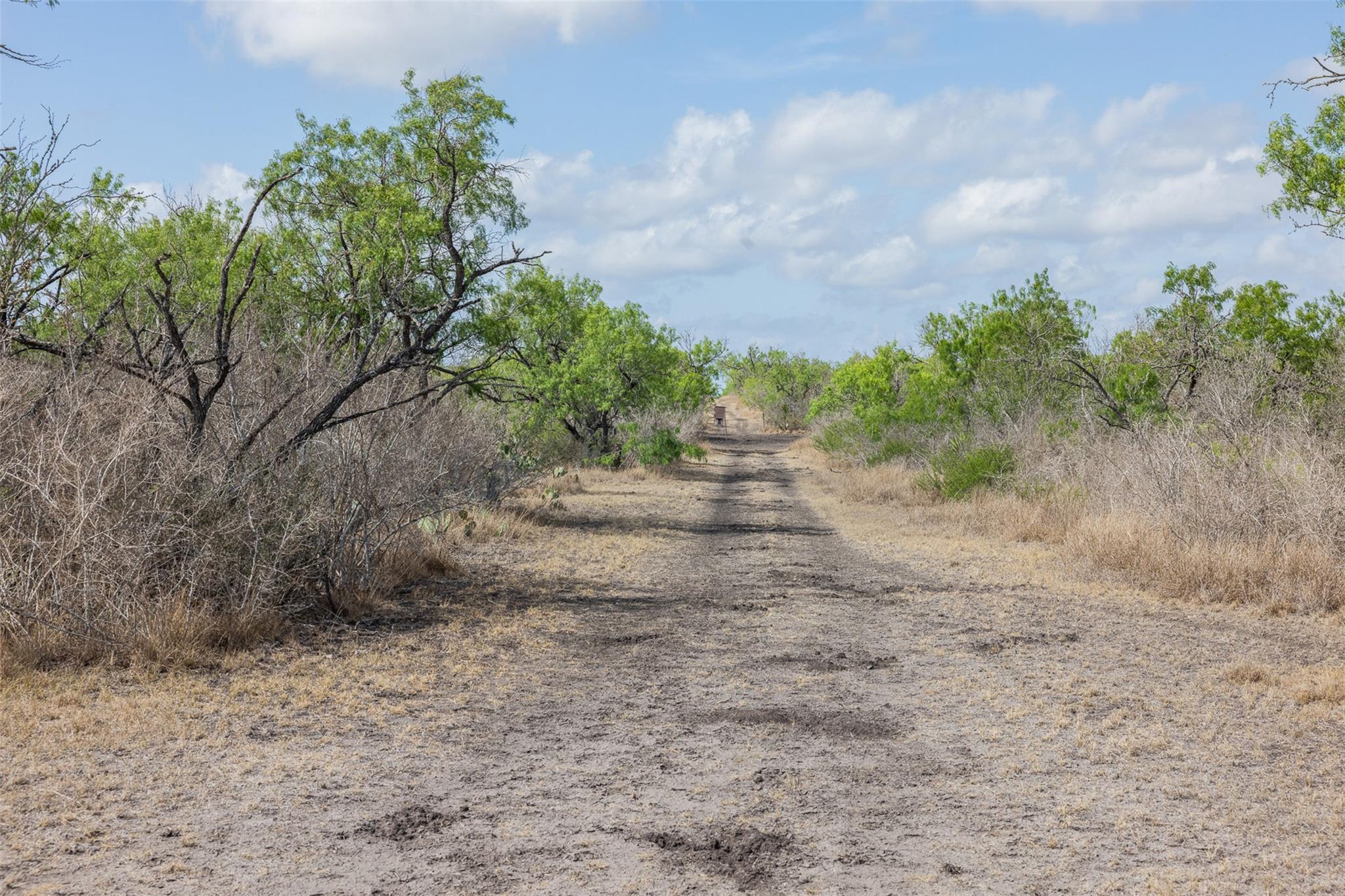 235 Fm 99, Whitsett, Three Rivers, TX 78075