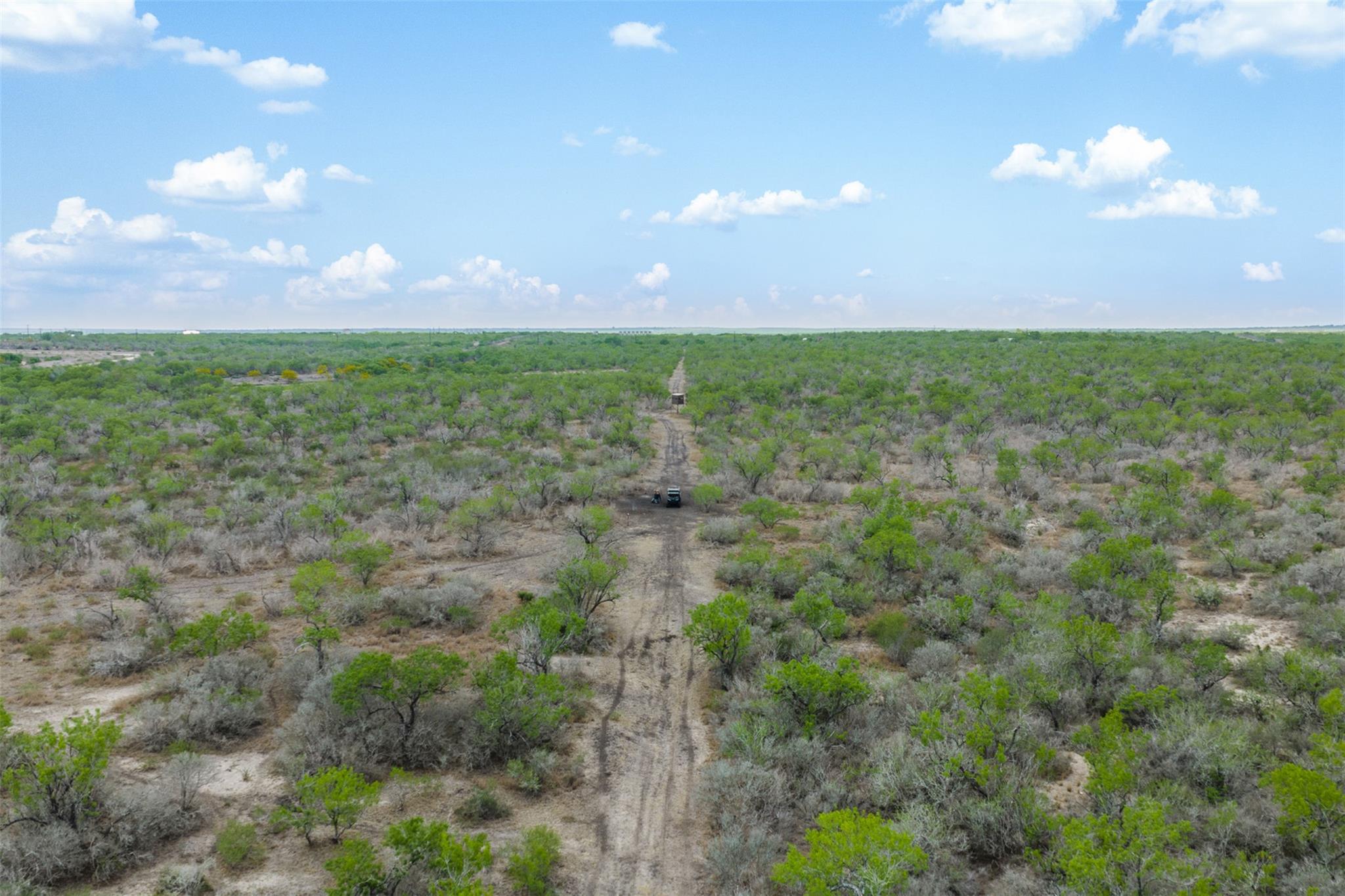 235 Fm 99, Whitsett, Three Rivers, TX 78075