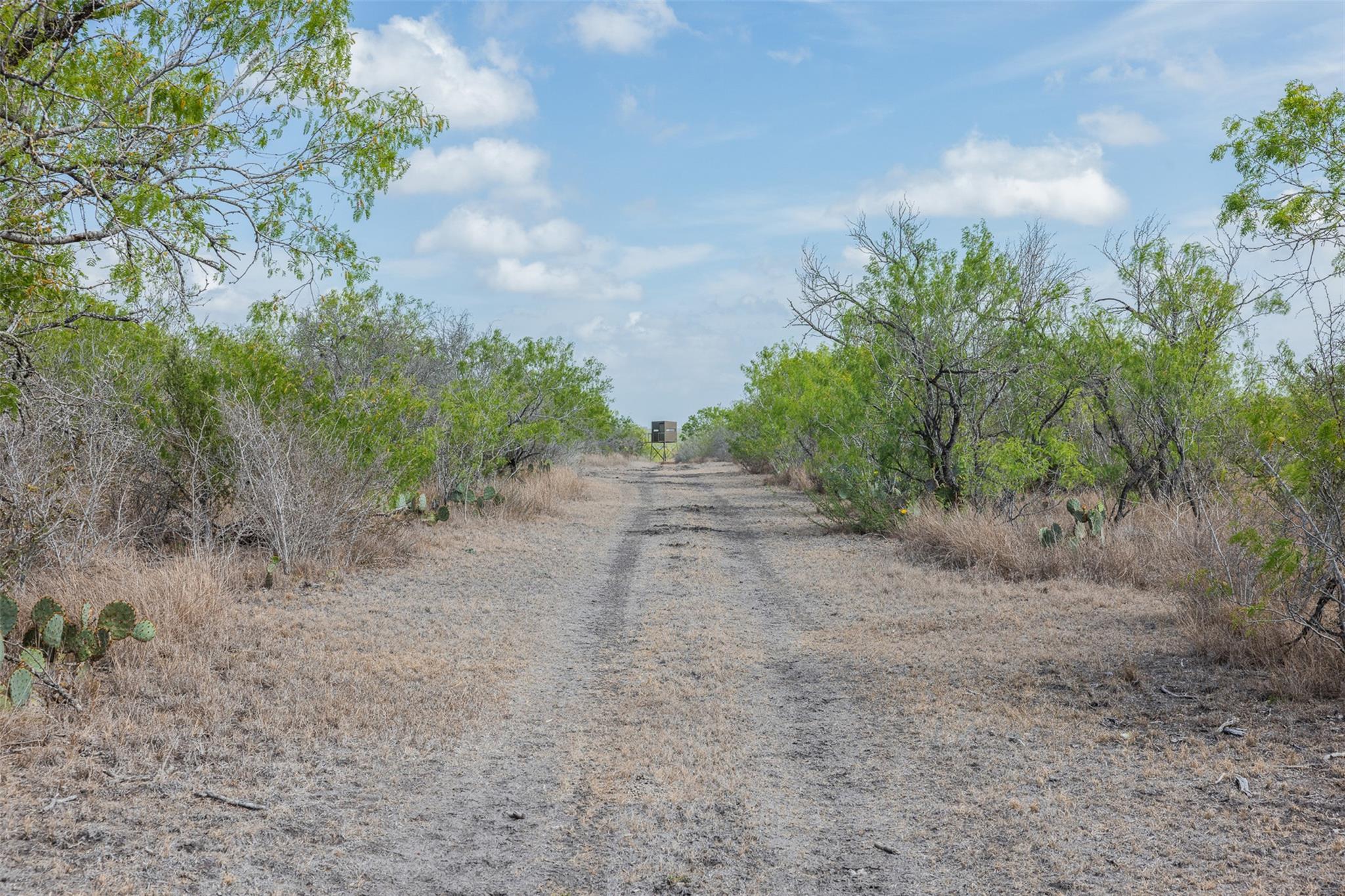 235 Fm 99, Whitsett, Three Rivers, TX 78075