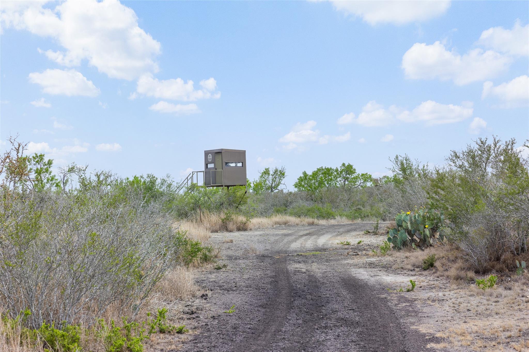 235 Fm 99, Whitsett, Three Rivers, TX 78075