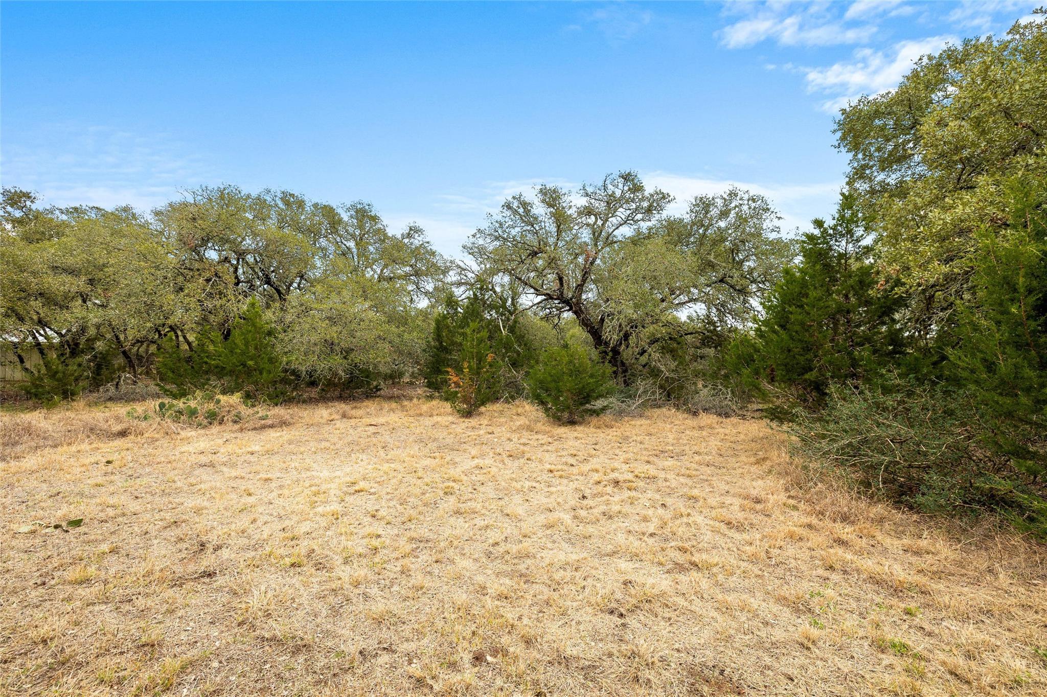 1080 Beauchamp Rd, Dripping Springs, TX 78620