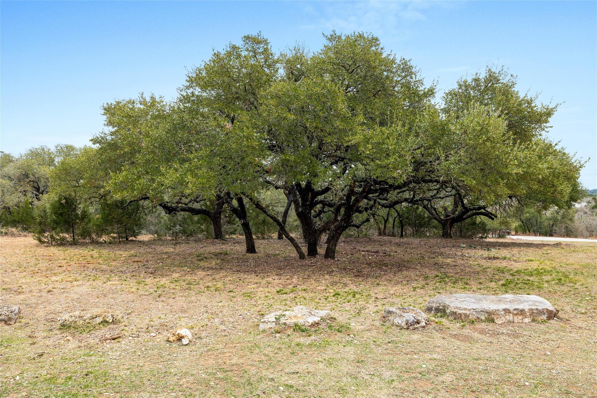 1080 Beauchamp Rd, Dripping Springs, TX 78620