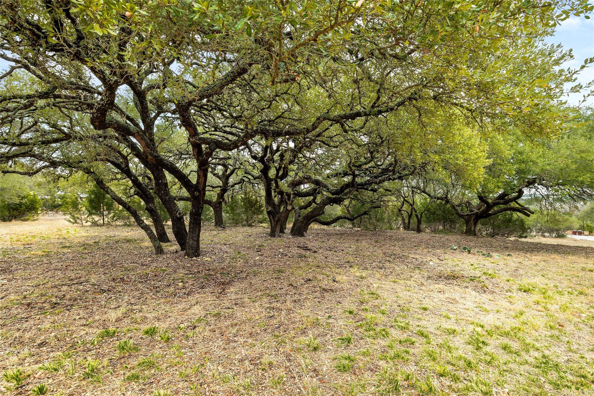 1080 Beauchamp Rd, Dripping Springs, TX 78620