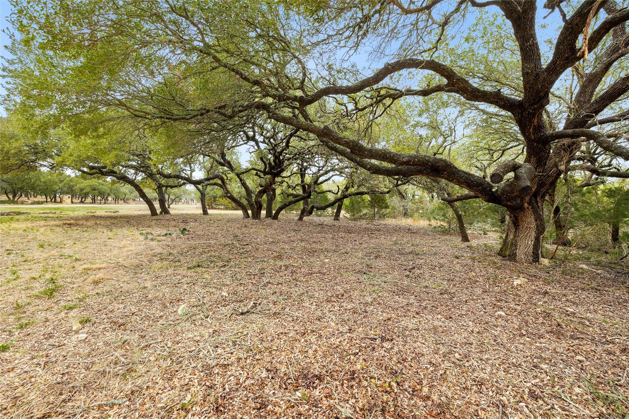 1080 Beauchamp Rd, Dripping Springs, TX 78620