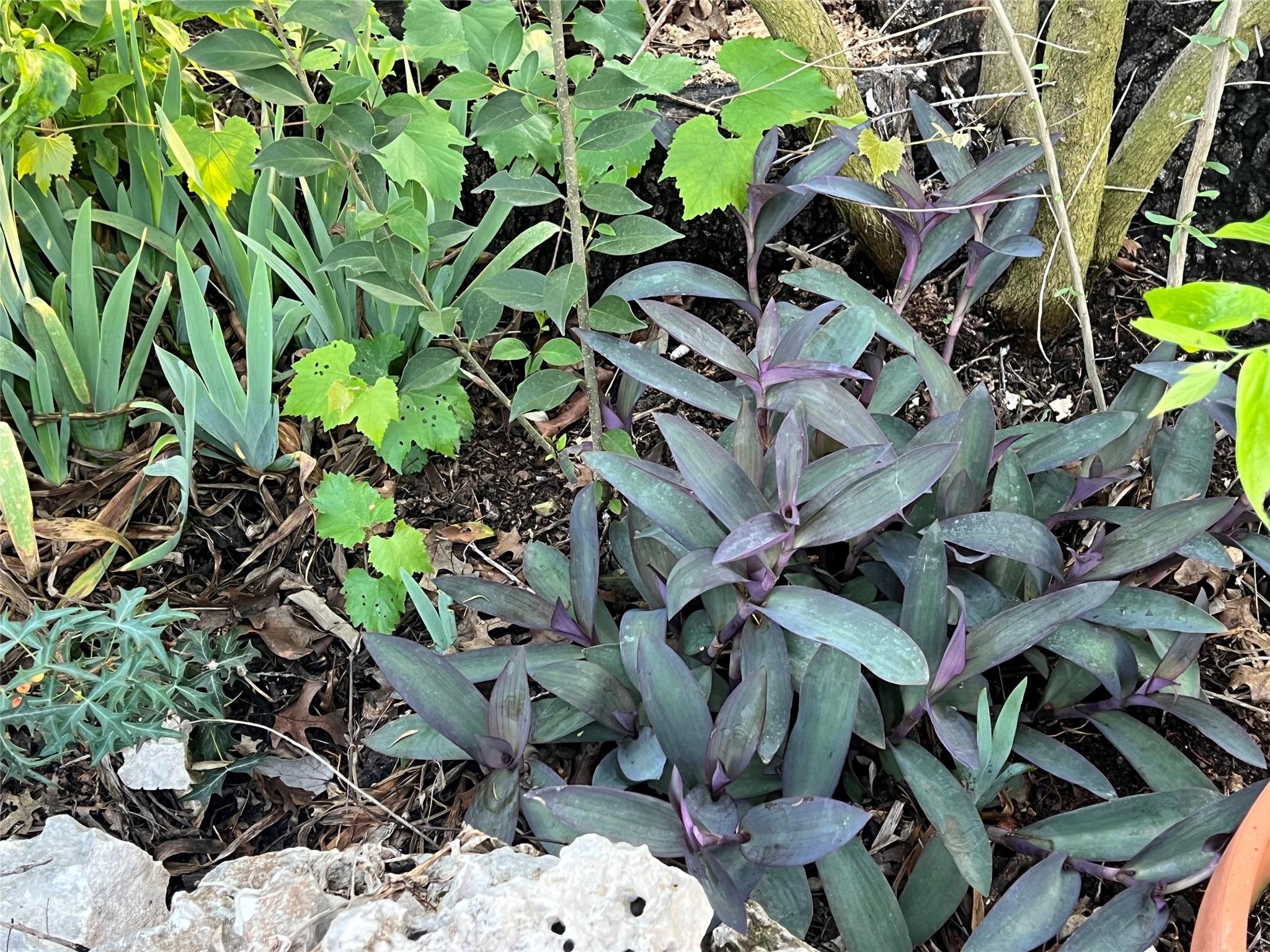 2110 Indian Creek Rd, Austin, TX 78734