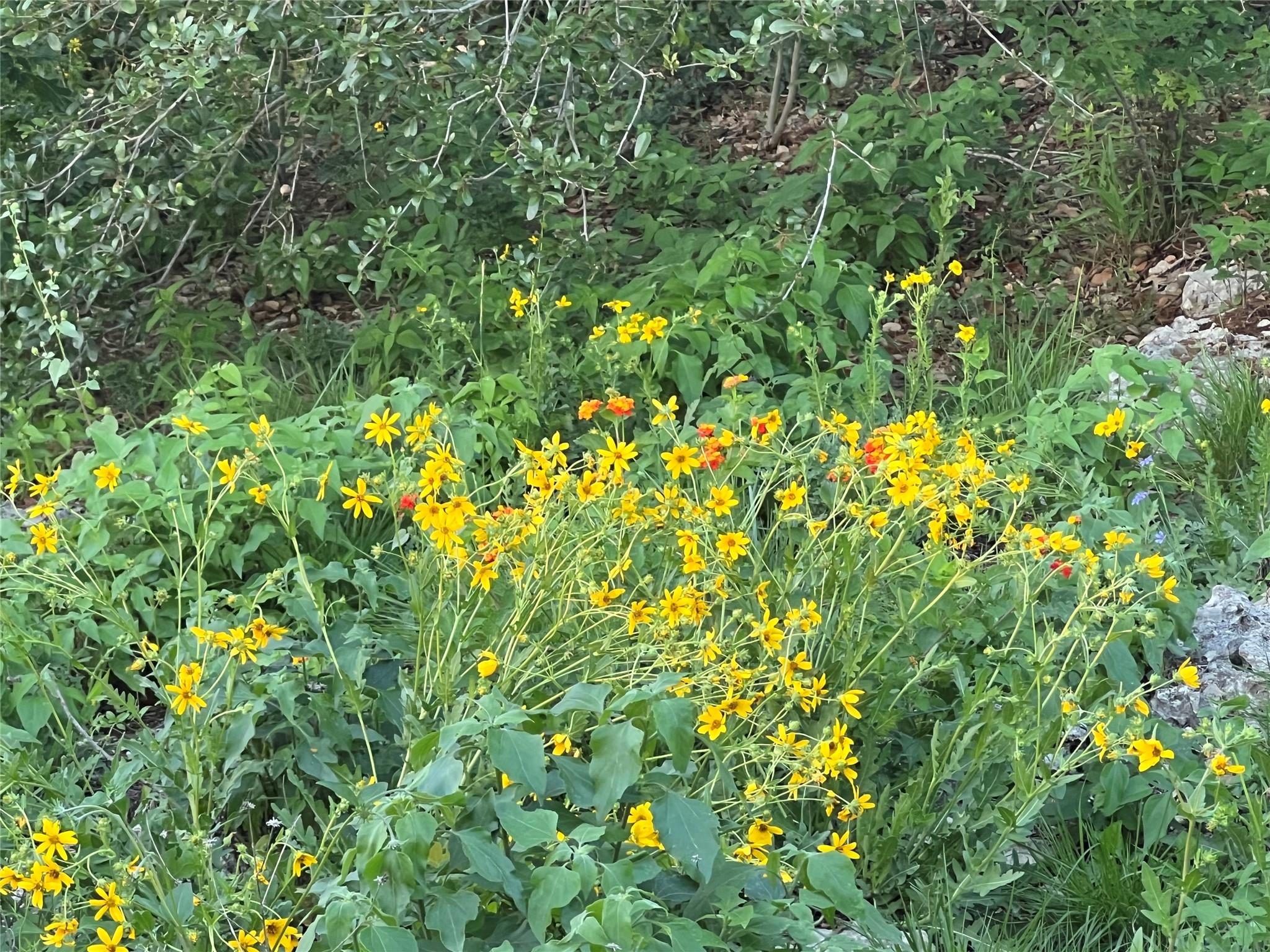 2110 Indian Creek Rd, Austin, TX 78734