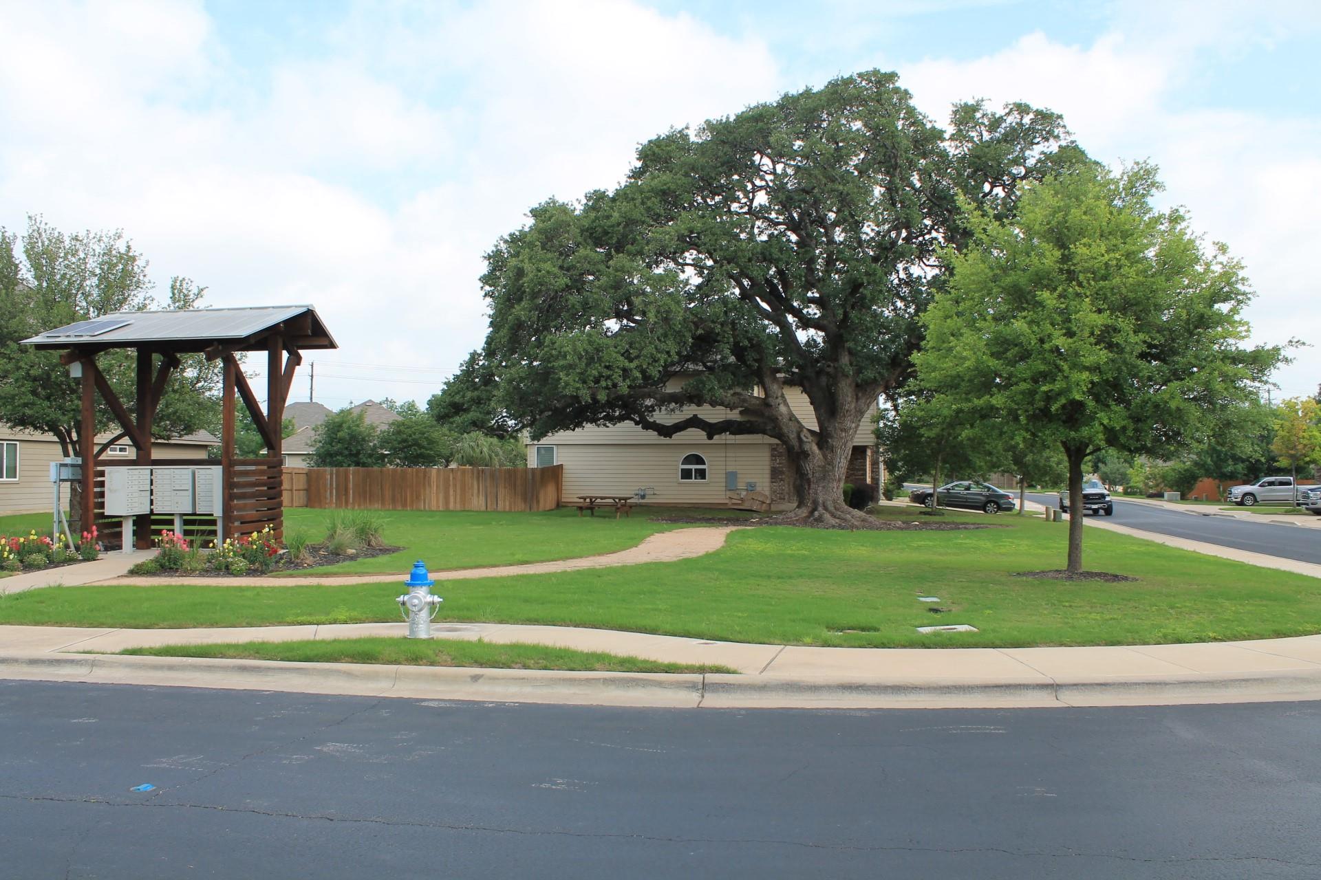 217 Deep Creek Dr, Georgetown, TX 78626