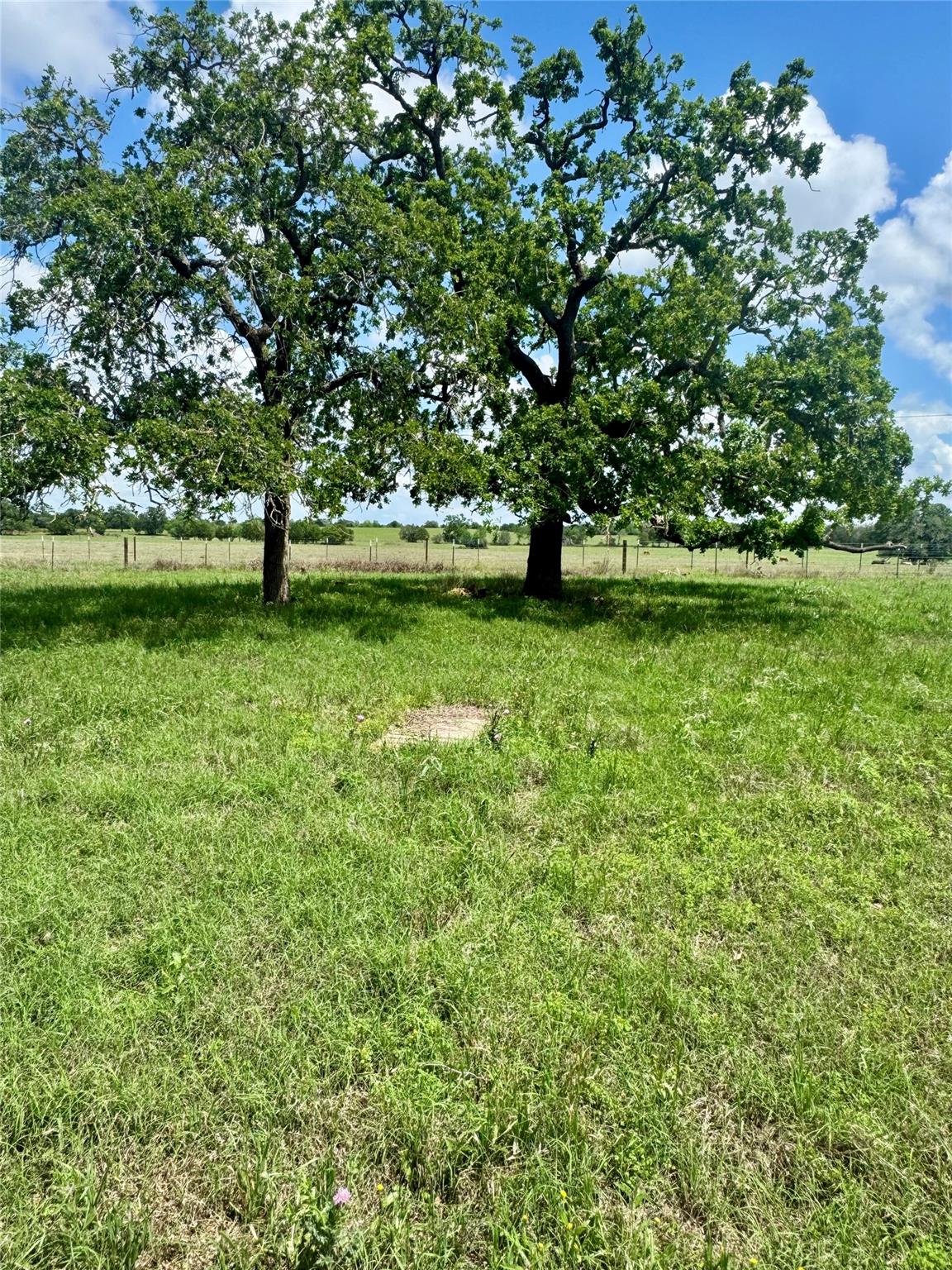 TBD Lot 10 Cardinal Rd, Rosanky, TX 78953