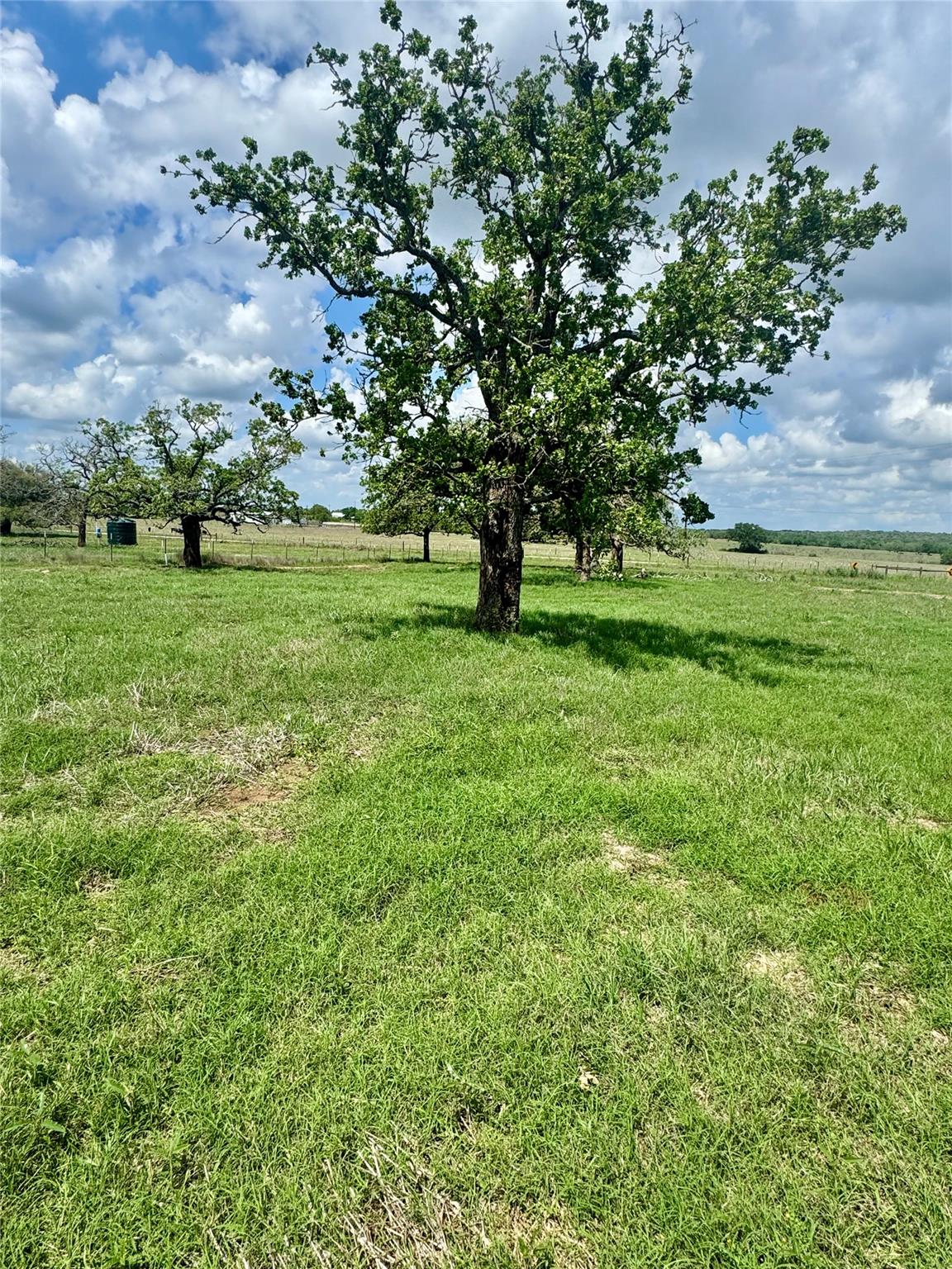 TBD Lot 10 Cardinal Rd, Rosanky, TX 78953