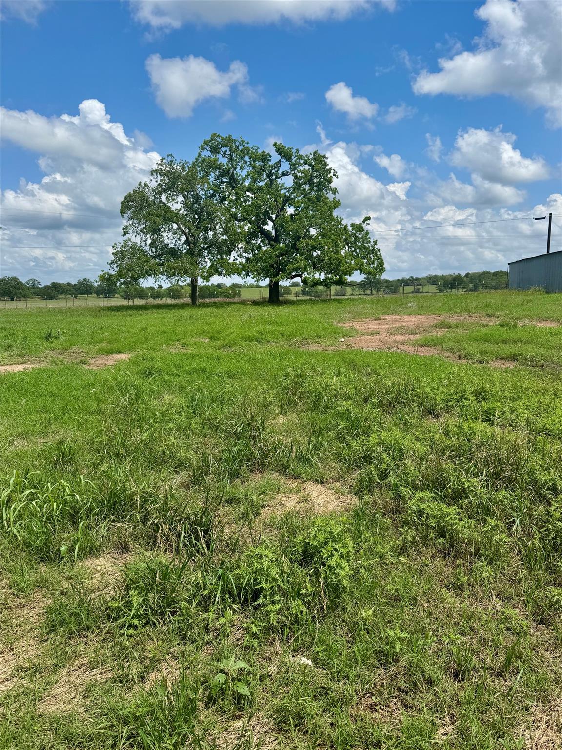 TBD Lot 10 Cardinal Rd, Rosanky, TX 78953