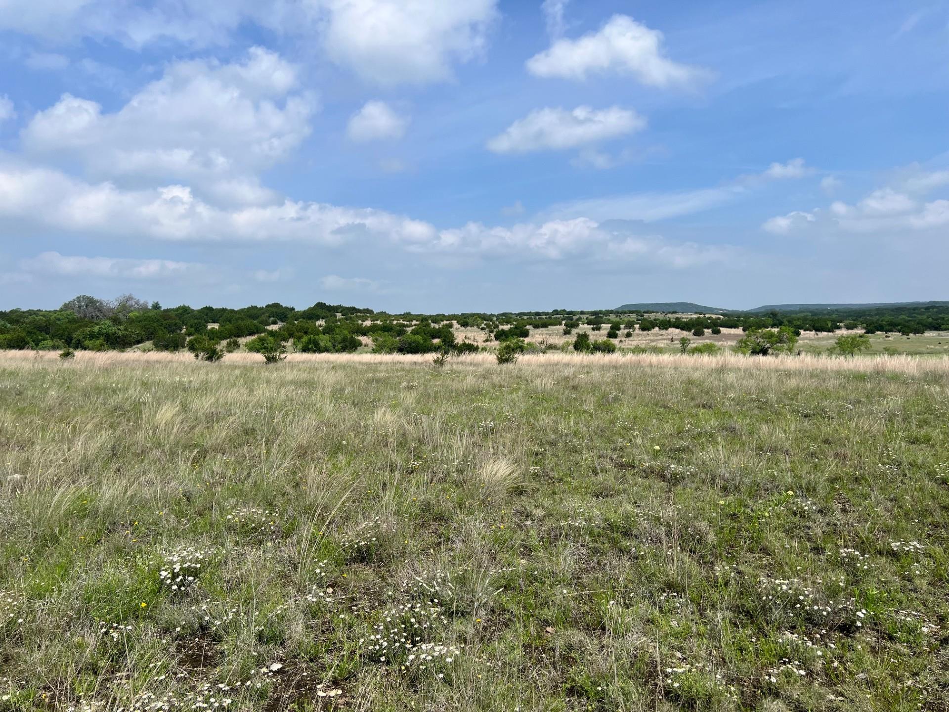 Tract 1 & 11, 4847 County Road 3300, Kempner, TX 76539
