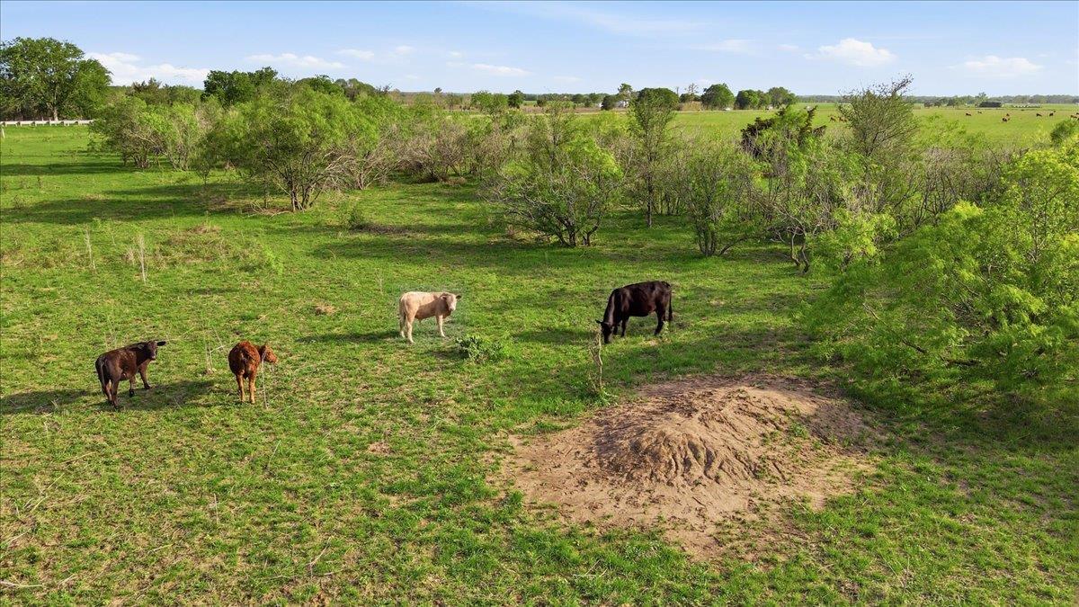 20326 Fm 969 # 5, Webberville, TX 78653