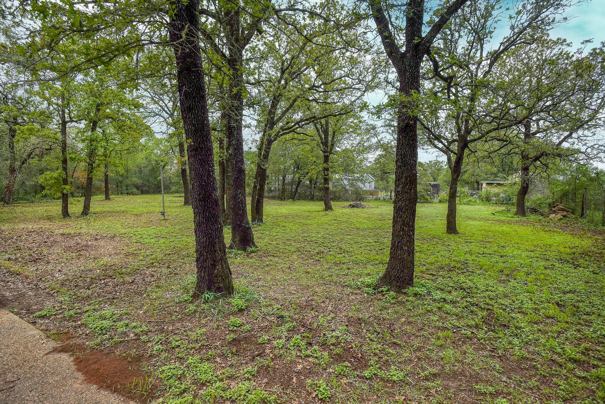 124 Blue Oaks Dr, Cedar Creek, TX 78612