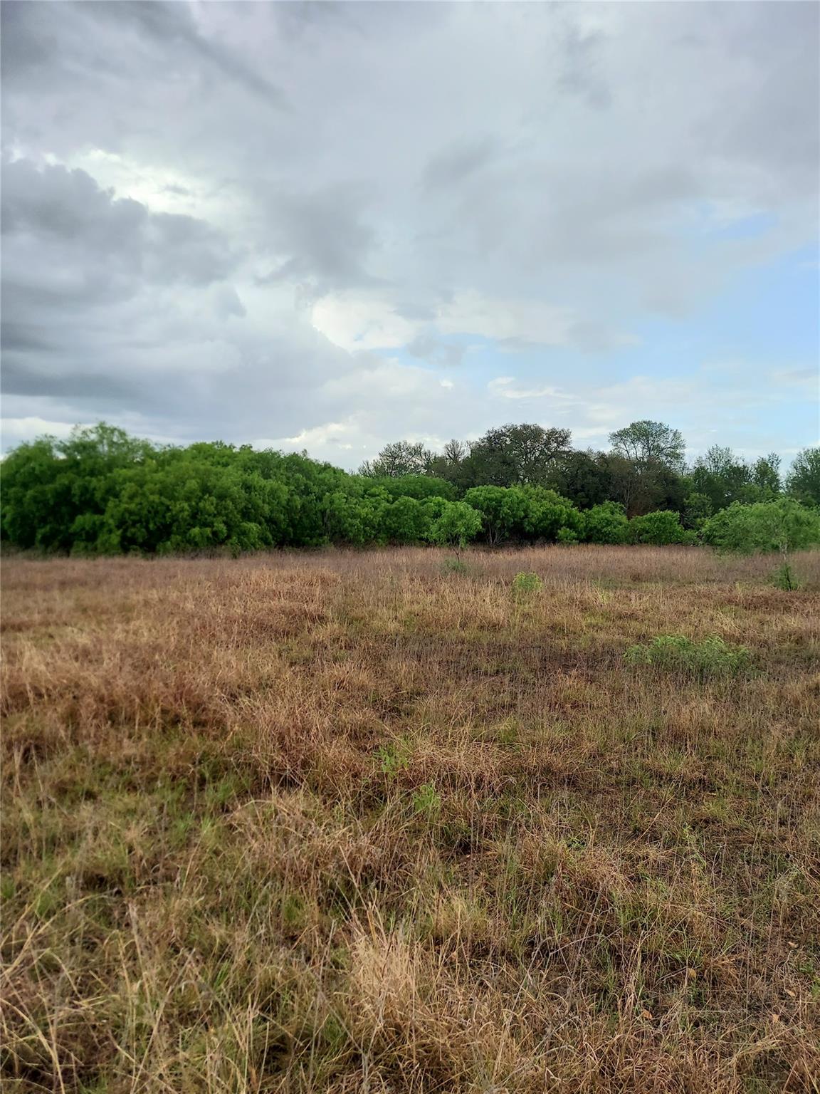 1060 Fox Ln # Lot #4, Lockhart, TX 78644