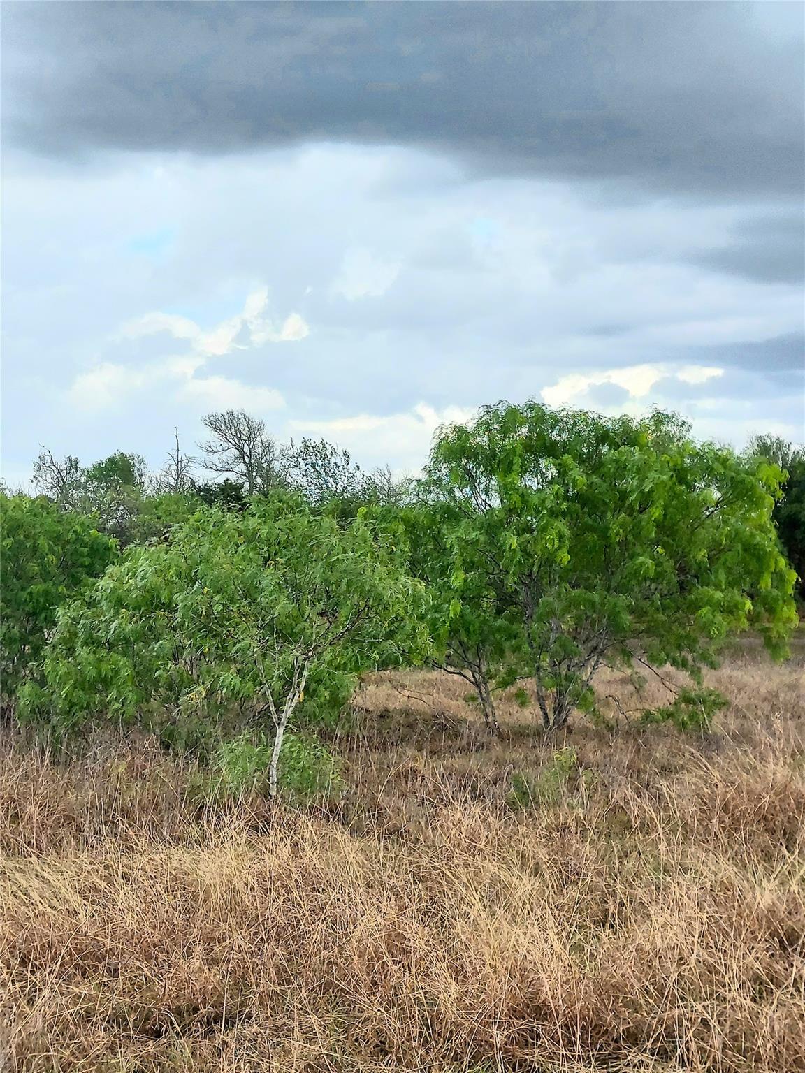 1060 Fox Ln # Lot #4, Lockhart, TX 78644