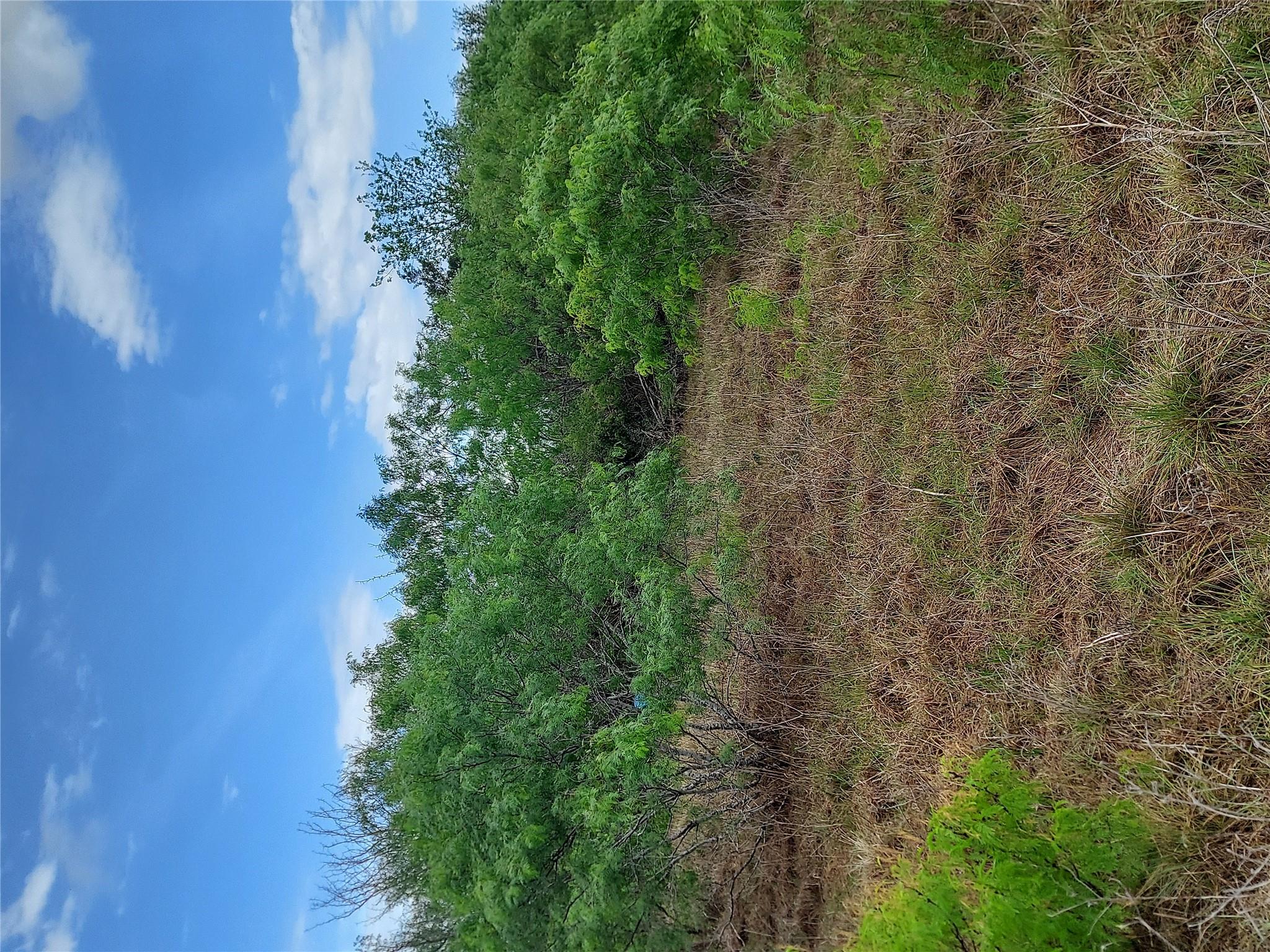 1060 Fox Ln # Lot #4, Lockhart, TX 78644