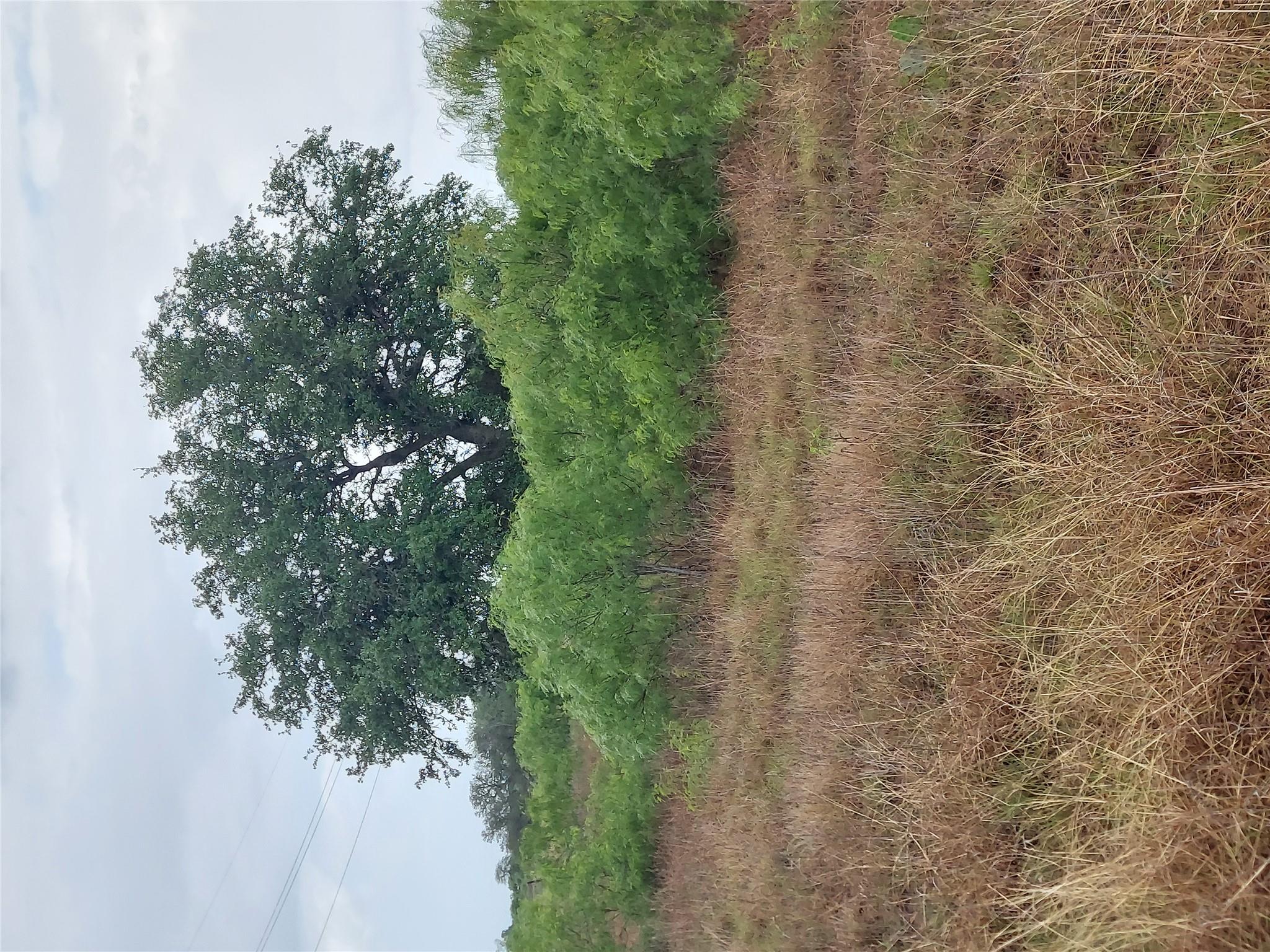 1060 Fox Ln # Lot #4, Lockhart, TX 78644