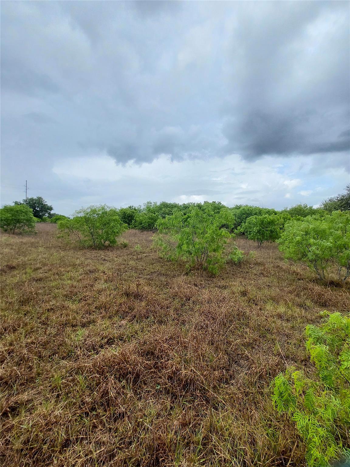 1060 Fox Ln # Lot #4, Lockhart, TX 78644