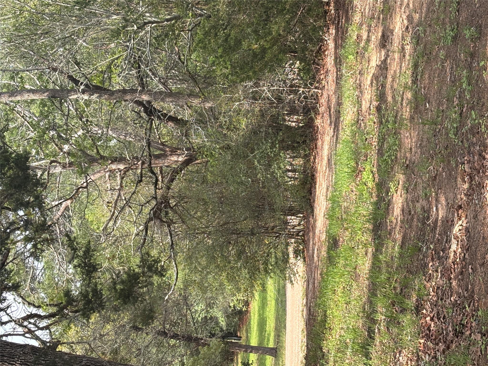 120 Cedar Spur, Bastrop, TX 78602