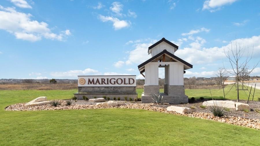 201 ORANGE FLAME Blvd, Kyle, TX 78640