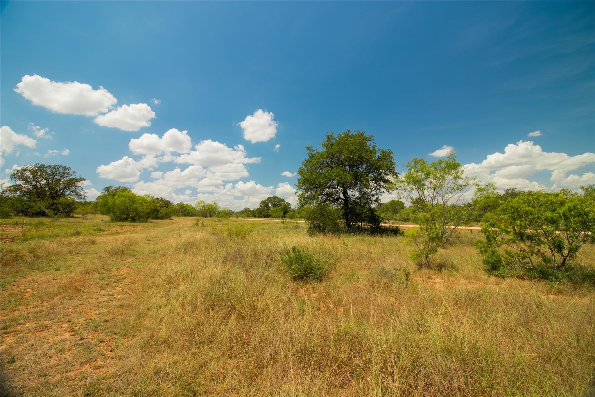 9421 Sycamore Shade Ln, Seguin, TX 78155