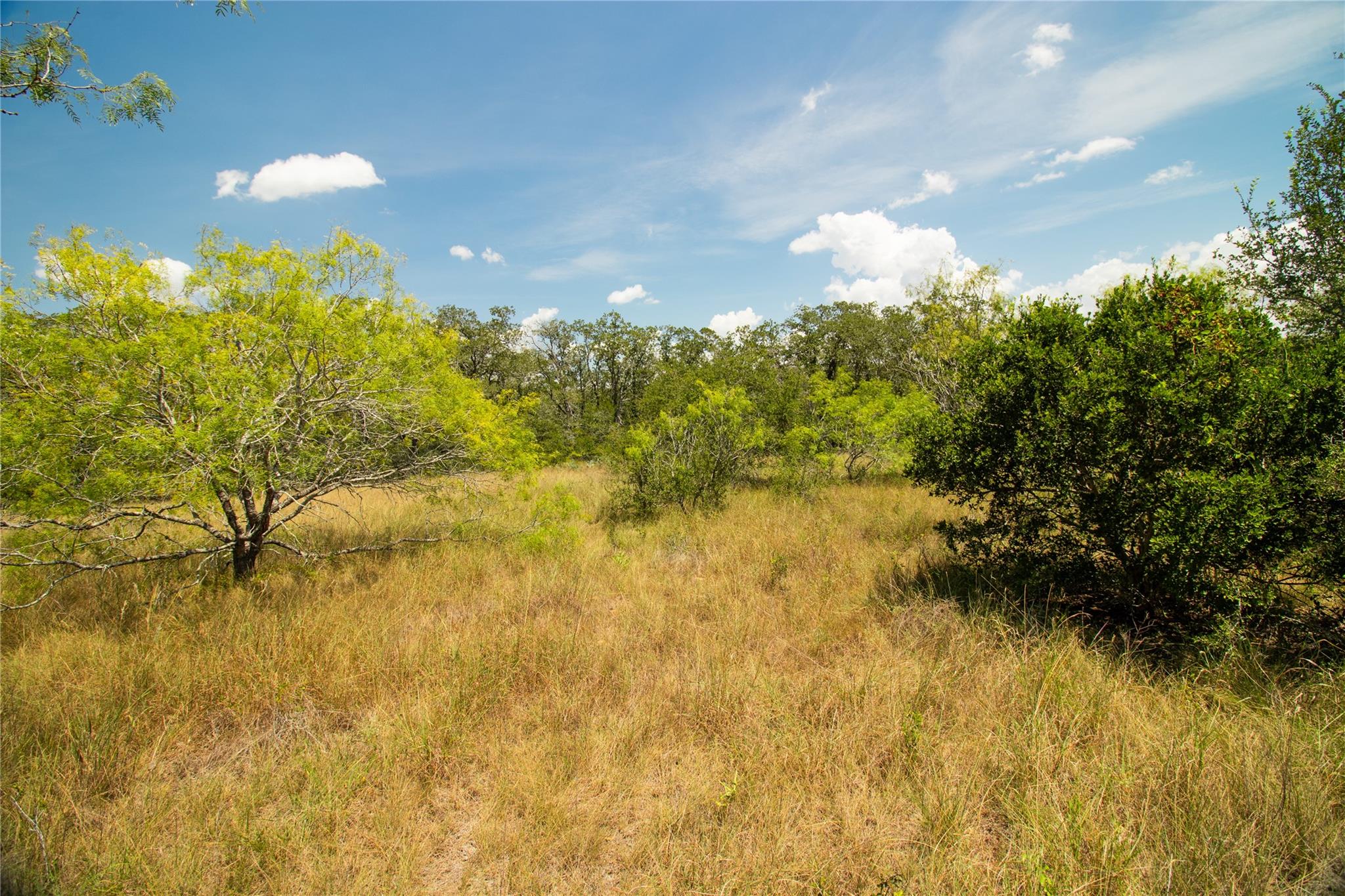 9421 Sycamore Shade Ln, Seguin, TX 78155