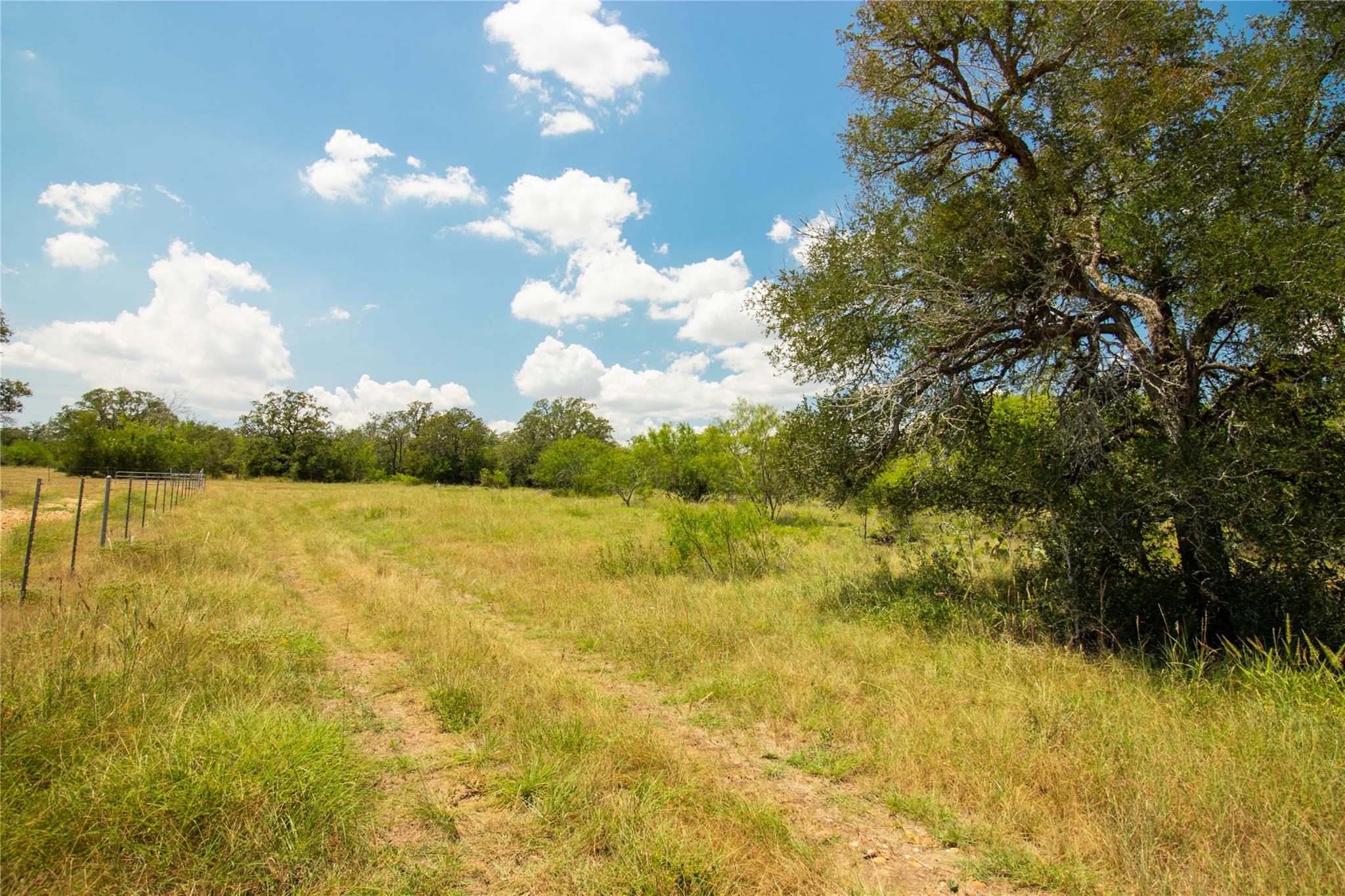 9421 Sycamore Shade Ln, Seguin, TX 78155