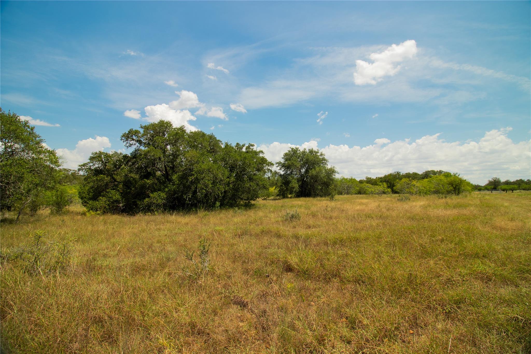 9421 Sycamore Shade Ln, Seguin, TX 78155