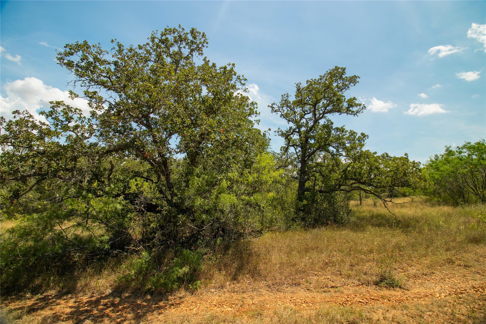 9421 Sycamore Shade Ln, Seguin, TX 78155