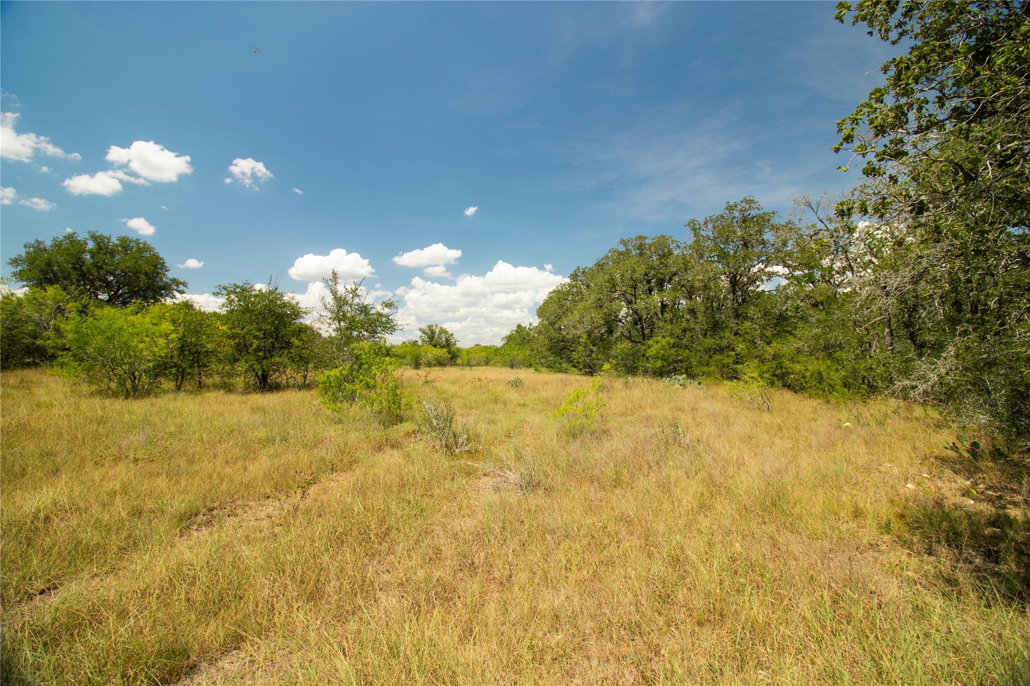 9421 Sycamore Shade Ln, Seguin, TX 78155