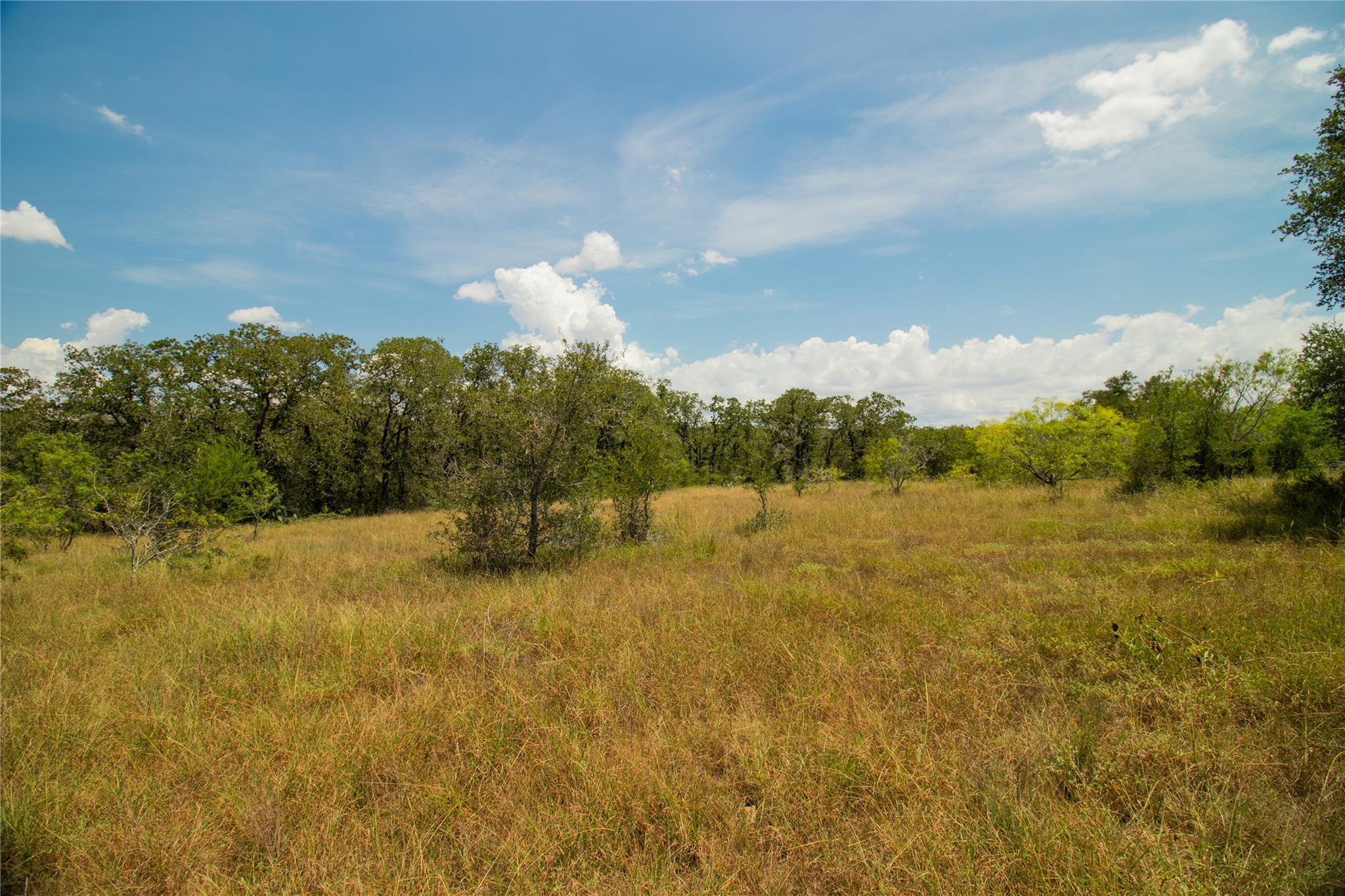 9421 Sycamore Shade Ln, Seguin, TX 78155