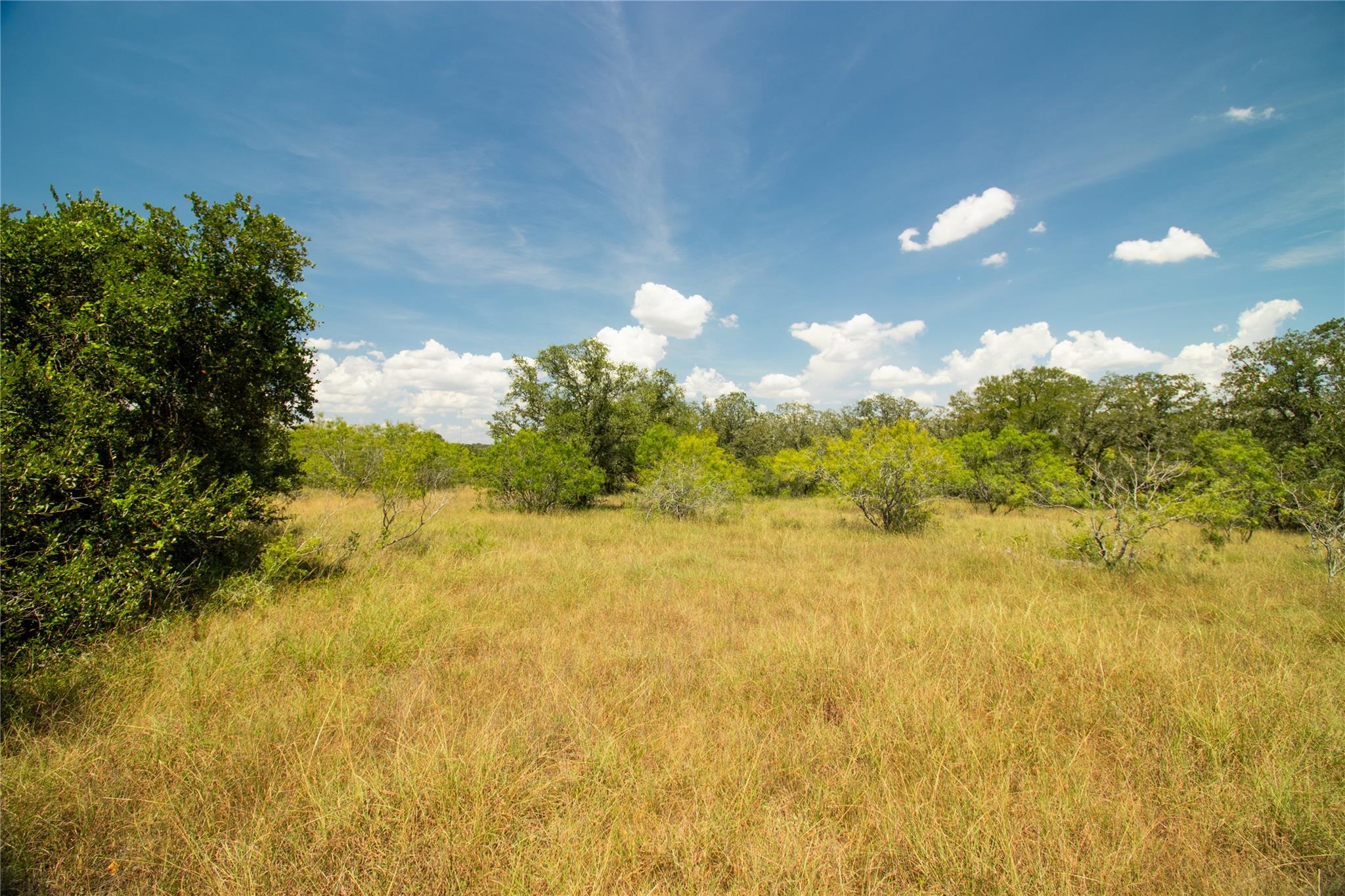 9421 Sycamore Shade Ln, Seguin, TX 78155