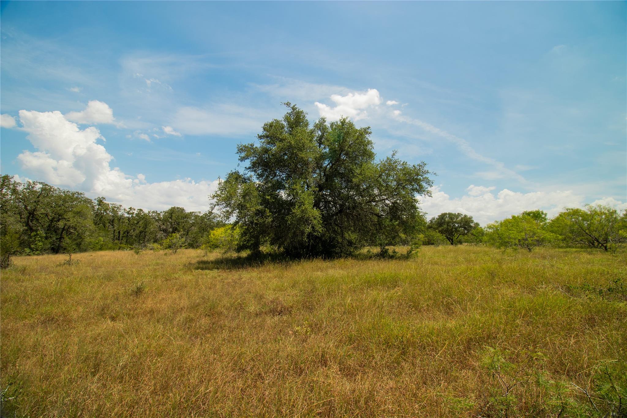 9421 Sycamore Shade Ln, Seguin, TX 78155