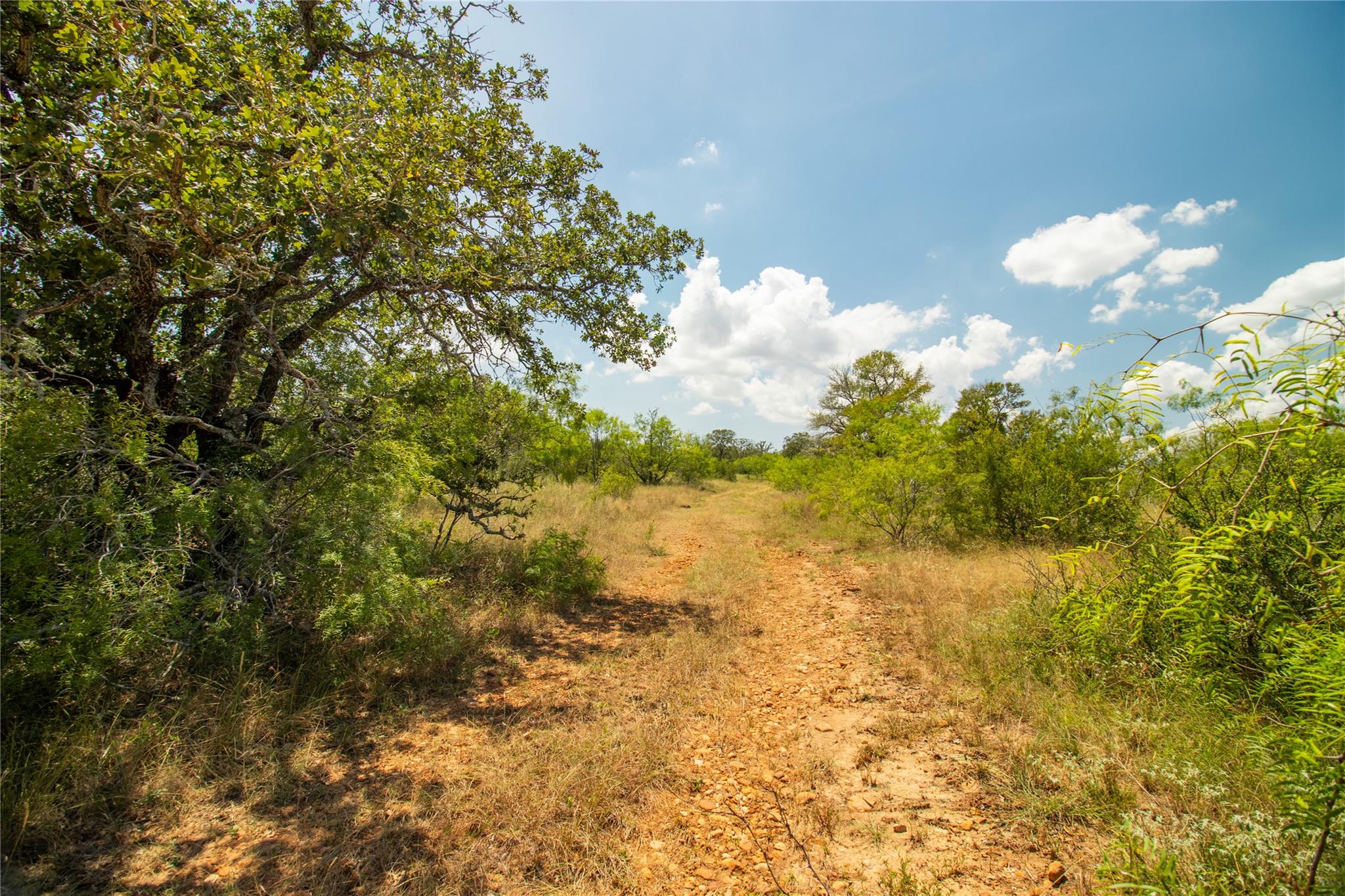 9421 Sycamore Shade Ln, Seguin, TX 78155