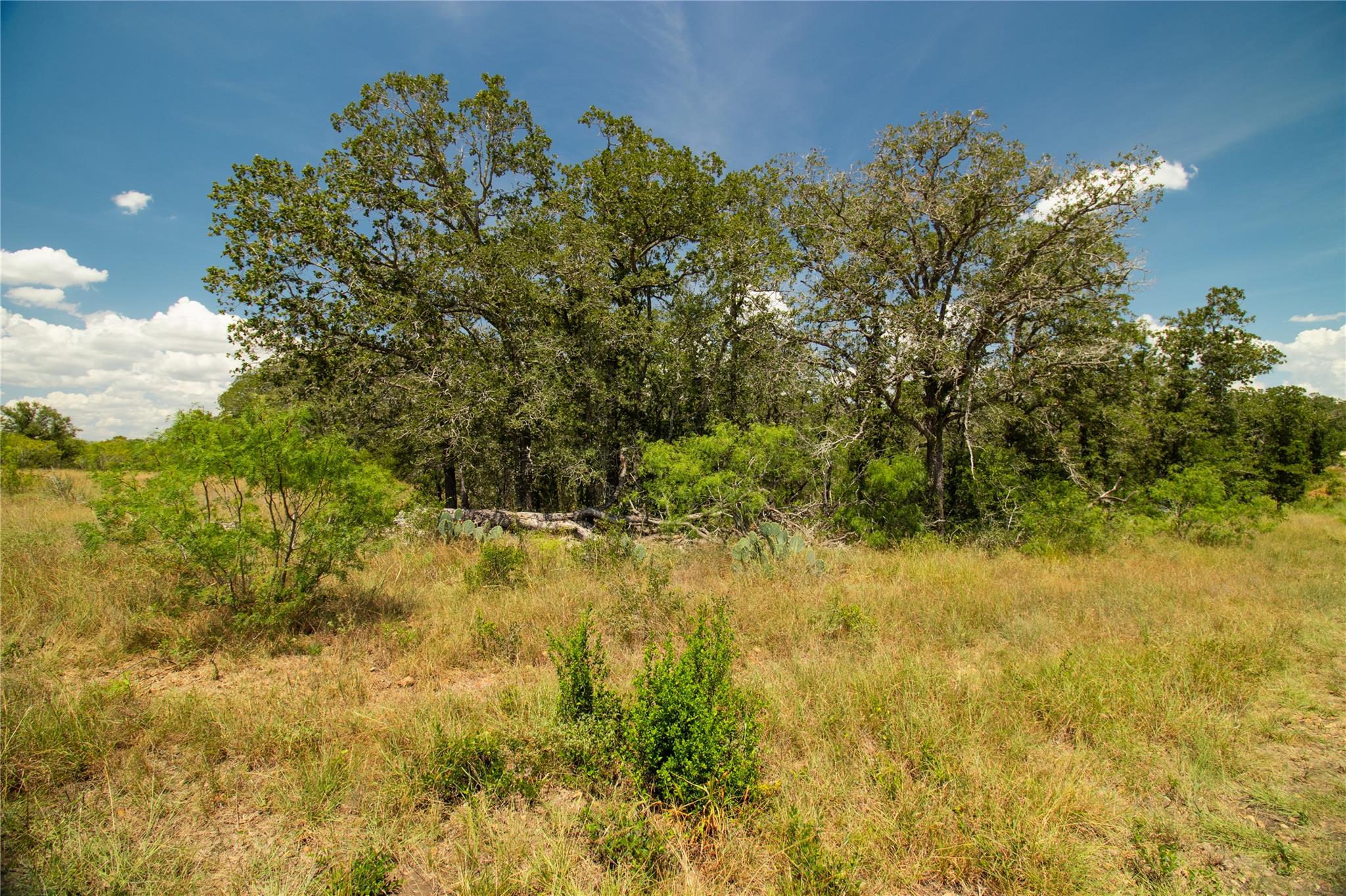 9421 Sycamore Shade Ln, Seguin, TX 78155