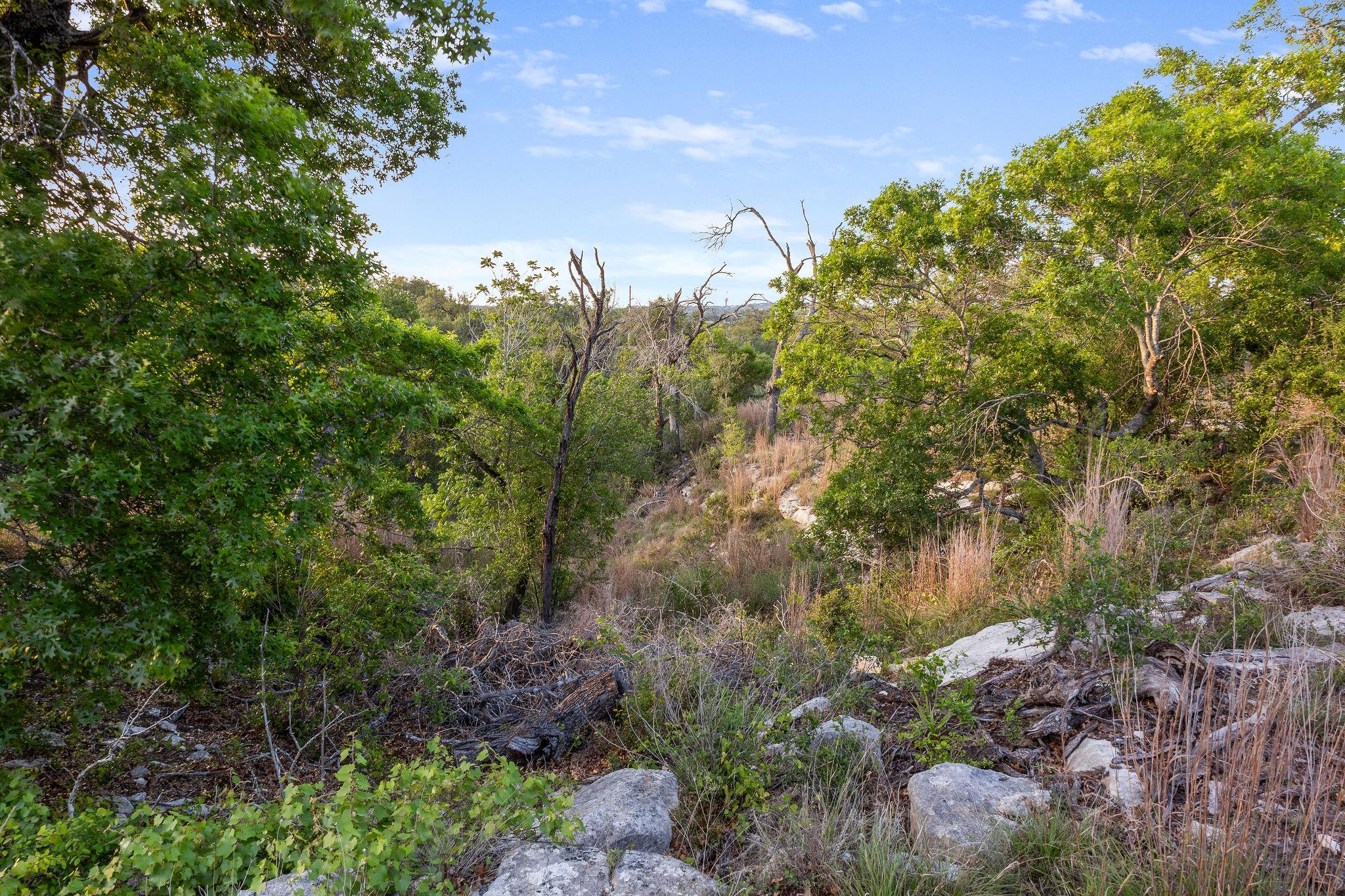 103-205 Mount Gainor Rd, Dripping Springs, TX 78620