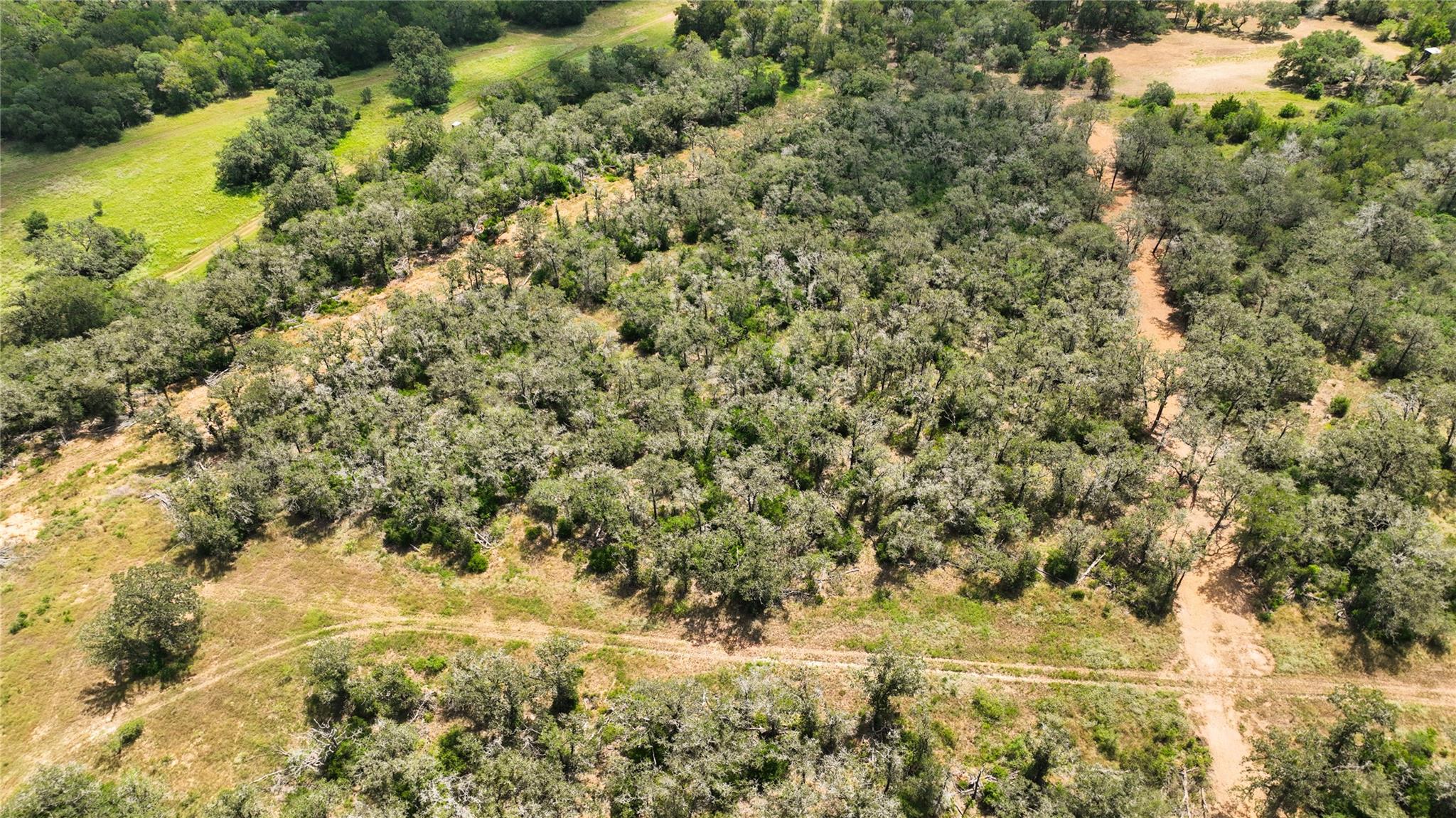 2564 Bluestem Crest Ln, Seguin, TX 78155