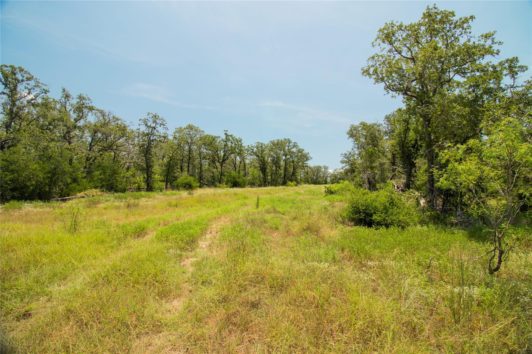 2564 Bluestem Crest Ln, Seguin, TX 78155